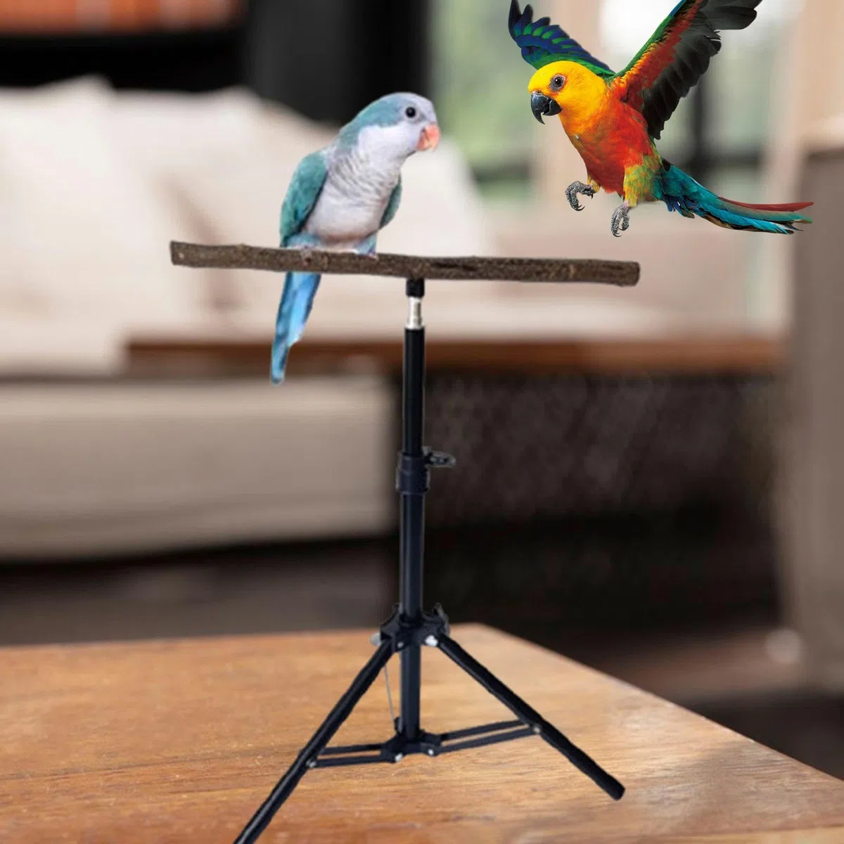 Percha para Loros, Trípode Retráctil de, Rama Trepadora Multiusos, Accesorio para Mascotas, Soporte para Pájaros para Cacatúas Que Juegan.