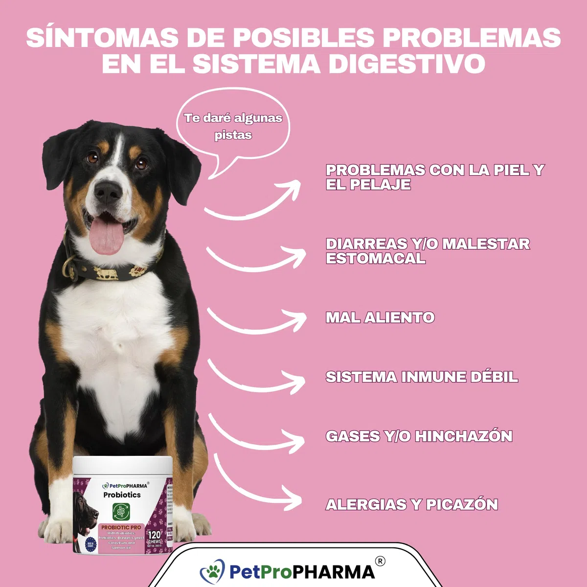 Probioticos y Prebioticos para Perros y Gatos Complemento alimenticio para Soporte digestivo y Refuerzo inmunológico Pastillas Masticables Absorcion Nutrientes y Flora intestinal 120 Galletas