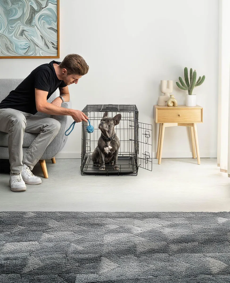 lionto Jaula Transporte Plegable para Perros Caja de Transporte, (L) 76x49x56 cm Negro