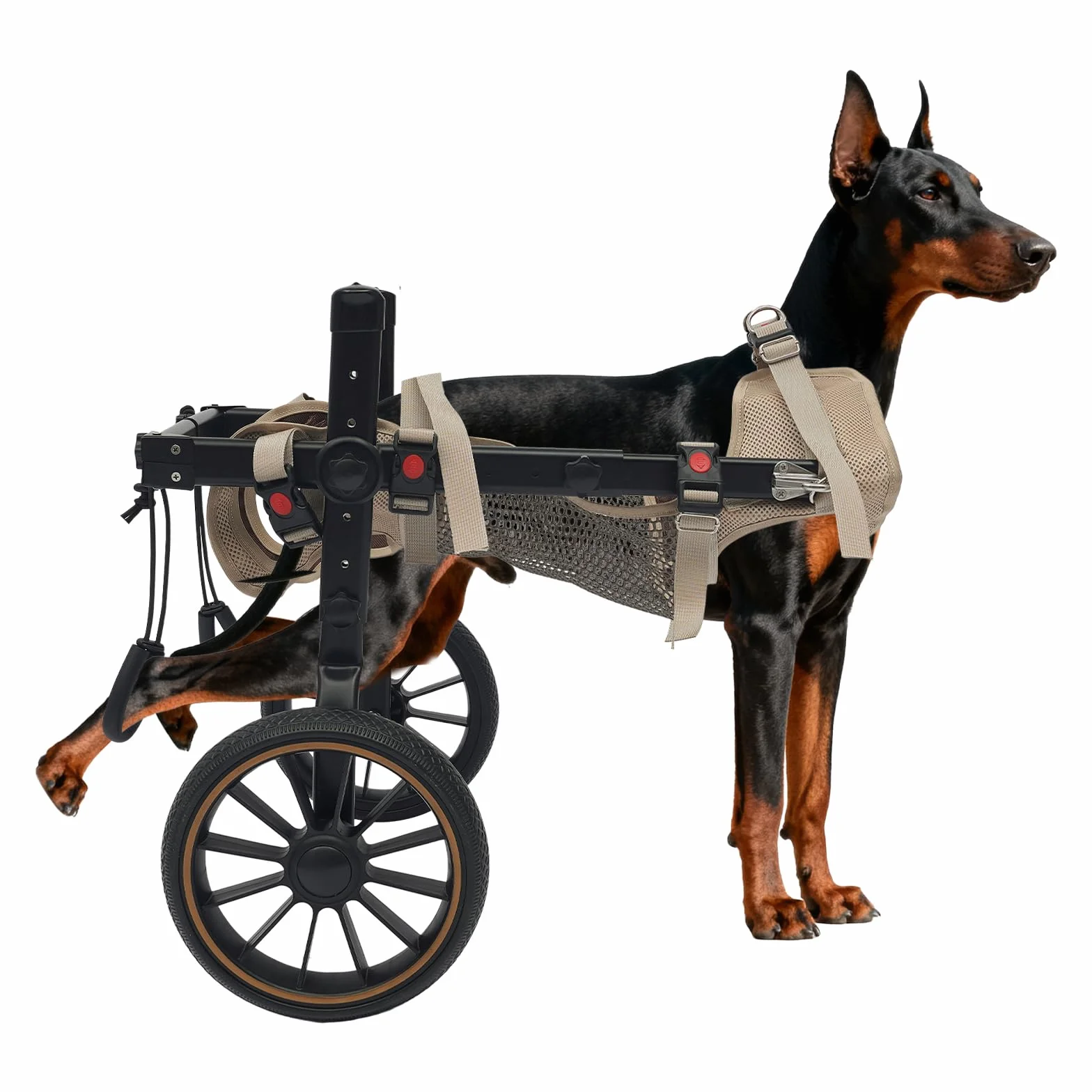 Silla de ruedas para perros XL, silla de ruedas de aluminio para perros grandes, silla de ruedas de perro ajustable, patas traseras, ruedas de goma antivibración, tejido de malla