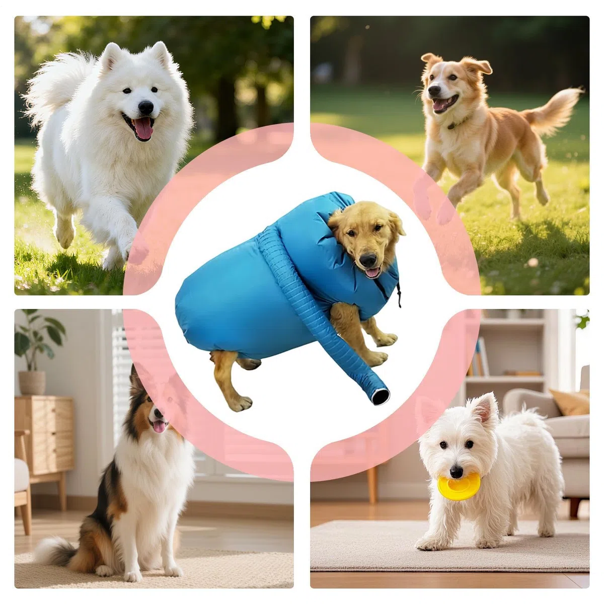 De Secado Para Perros,Saco para Aseo con Circulación de Aire y Soplador destinado a Mascotas | Secadora para Perros | para Hogar Ducha Viaje Veterinaria Interior Apartamento