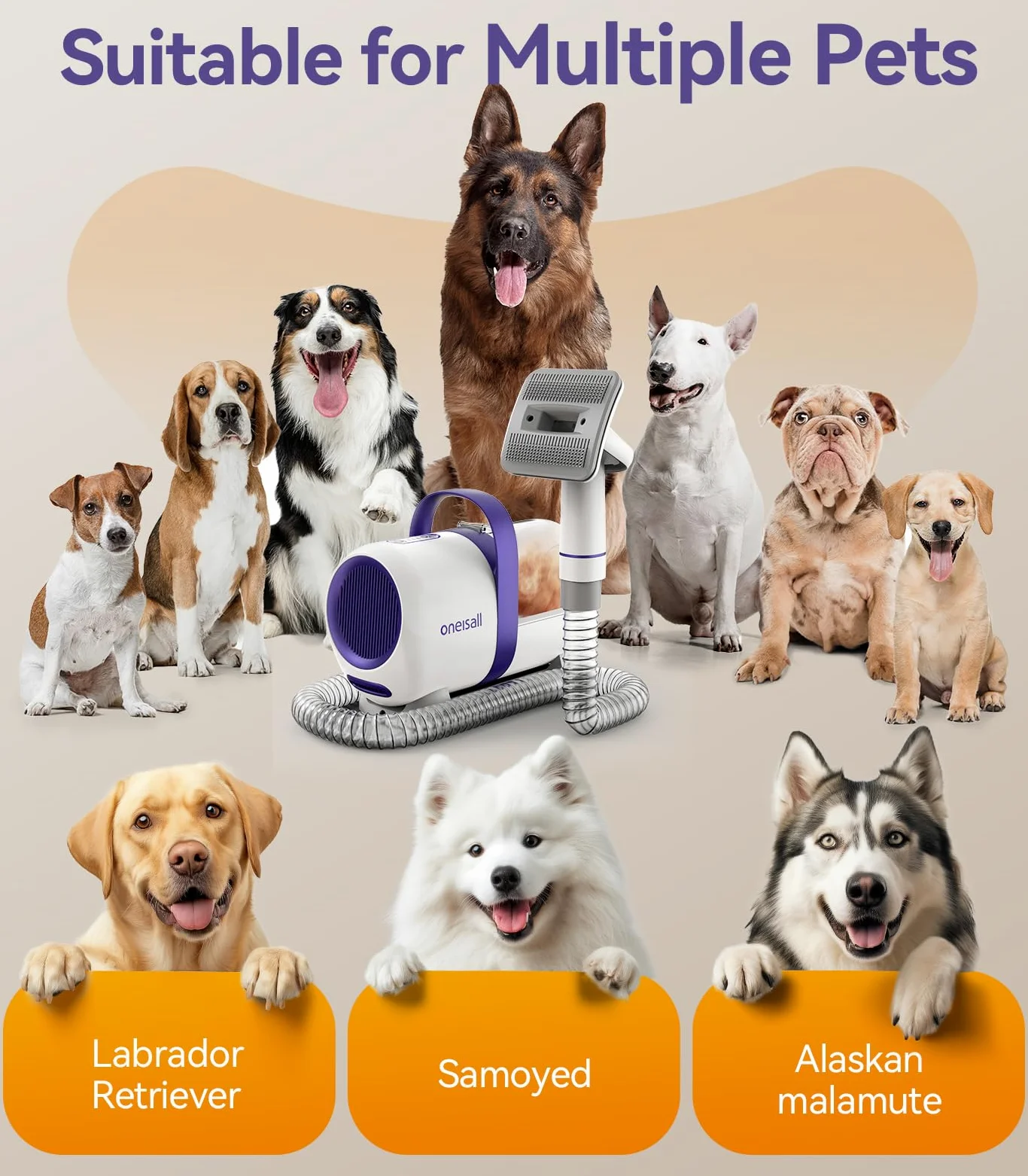 Oneisall Aspirador de pelos animal doméstico con cepillo, Súper poder de succión 12000pa, Aspiradora para perros con botón, 4 cepillos, 1.5L