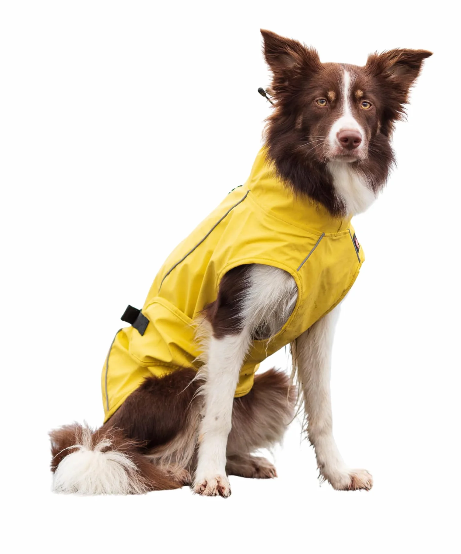TRIXIE Impermeable Vimy para Perros, talla 45 cm