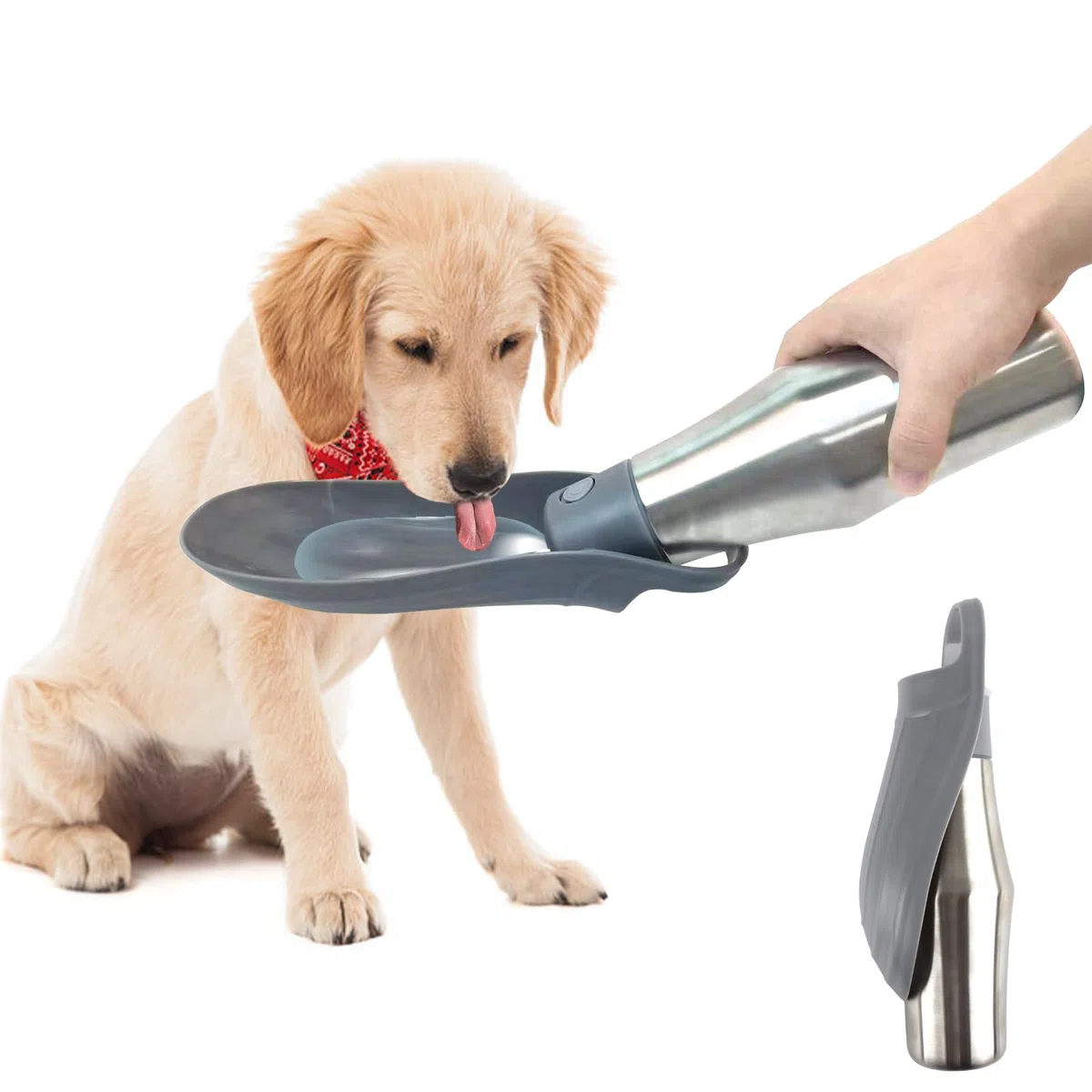 Botella de Agua para Perros Portátil, ZoneYan 750ml, Dispensador de Agua para Perros de Acero Inoxidable, Botella de Viaje para Caminar para Perros (Gris)