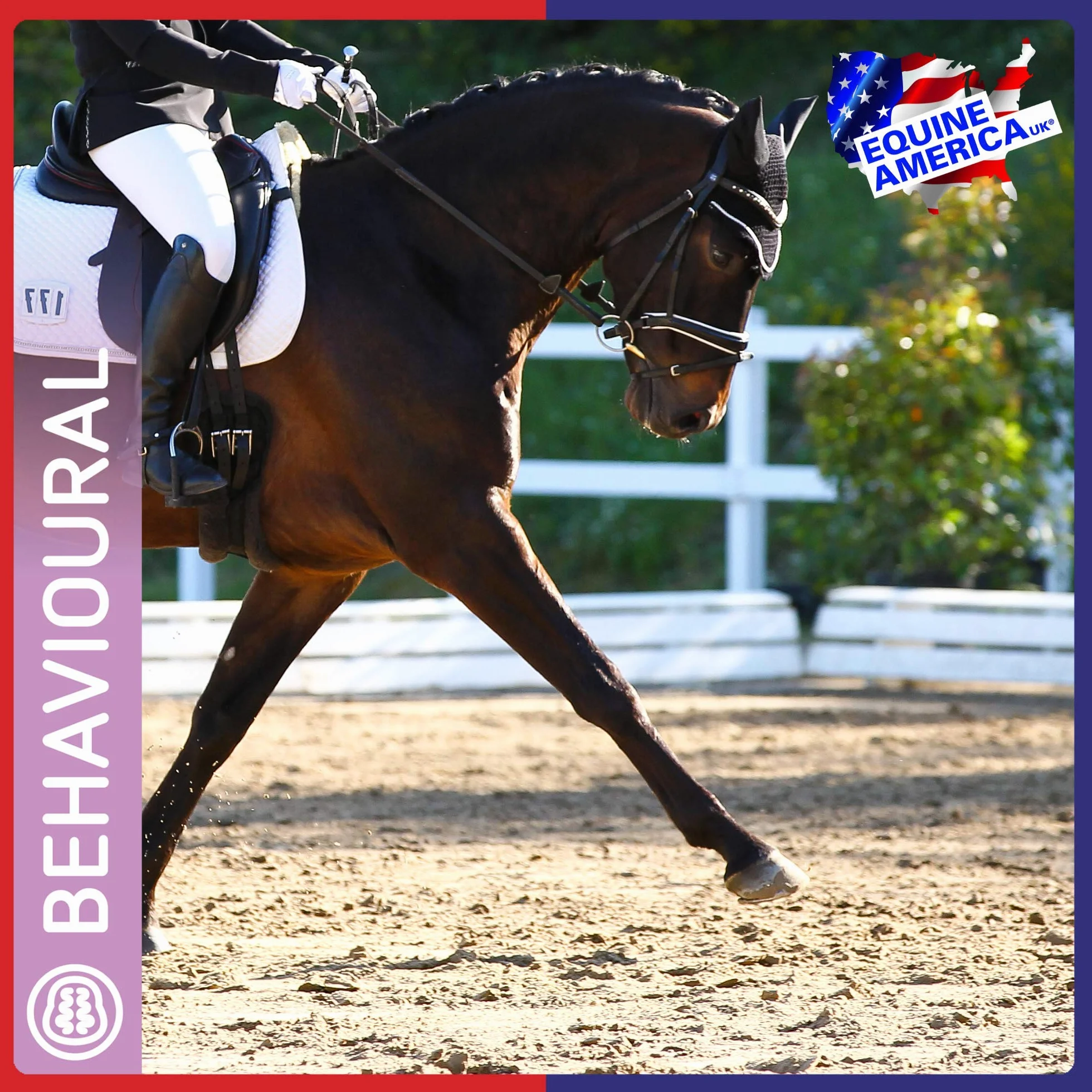 Equine America So-Kalm - Solución de Cal (1 L)