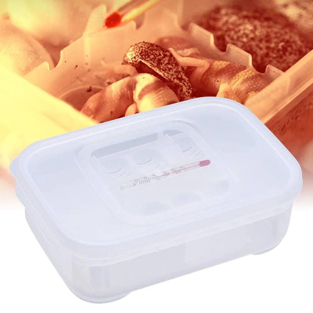 2 Cajas de incubación para Reptiles, Bandeja Profesional de plástico Transparente para cría de lagartos y Reptiles, incubadora de Huevos para Geckos y Serpientes.