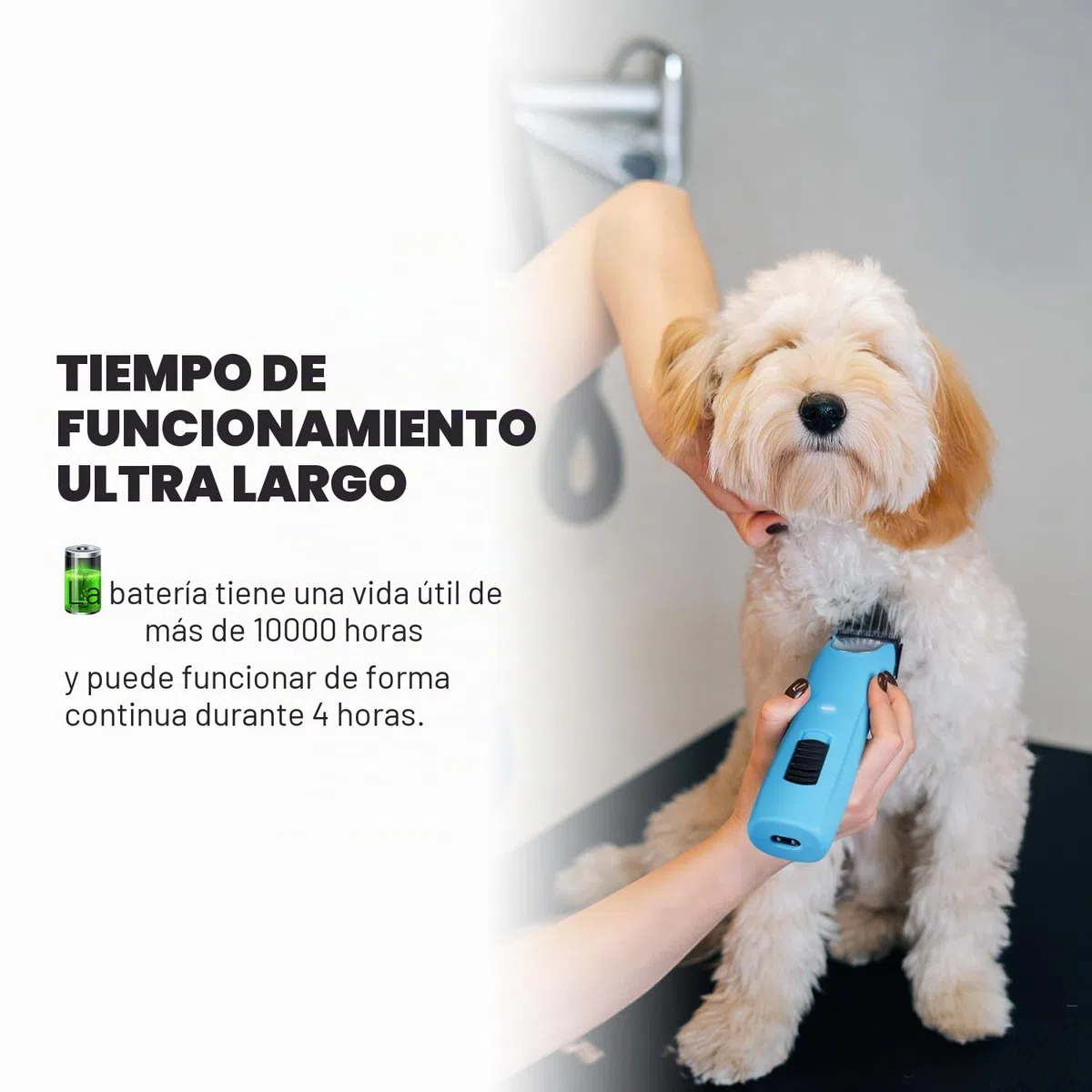 Cortapelos Profesional, Máquina de Cortar Pelo para Perros Ergonómica de 2 Velocidades, para Pelo Largo y Enmarañado, Azul