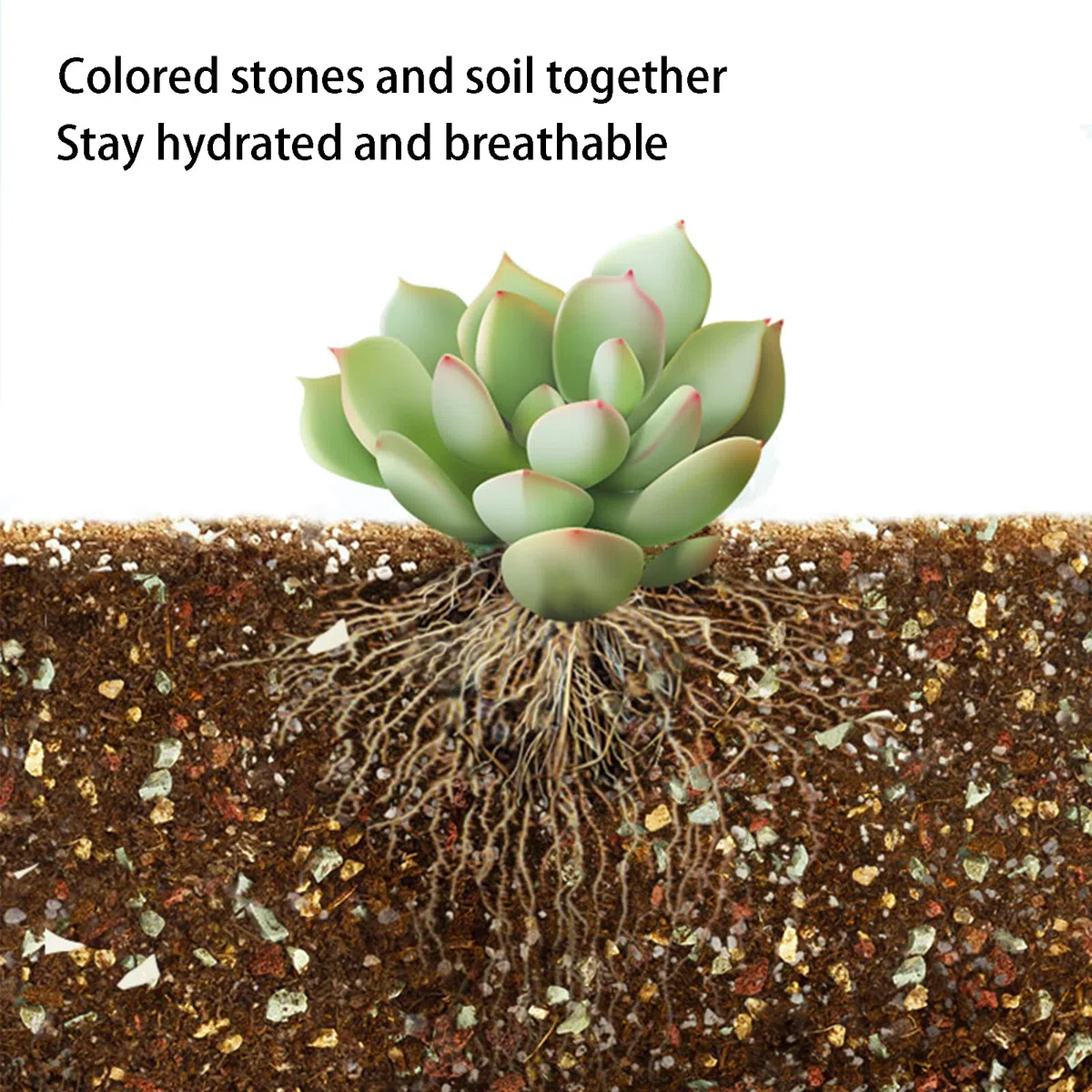 YUNSTK Mezcla de roca de lava hortícola, cactus suculento natural en maceta bonsái para jardín, grava, aderezo decorativo, para interiores, tanque de peces, 2.2 libras