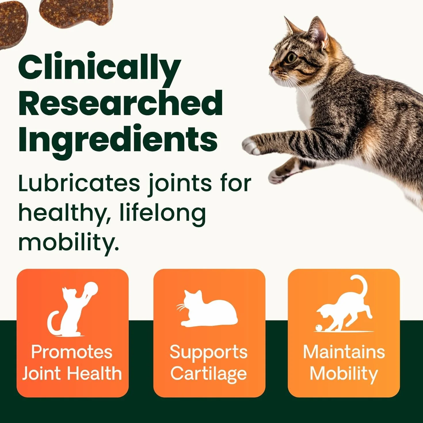 Vetri-Science Laboratories Glyco Flex 3 Cadera y suplemento Conjunta para Gatos, Bite tamaño – Chucherías