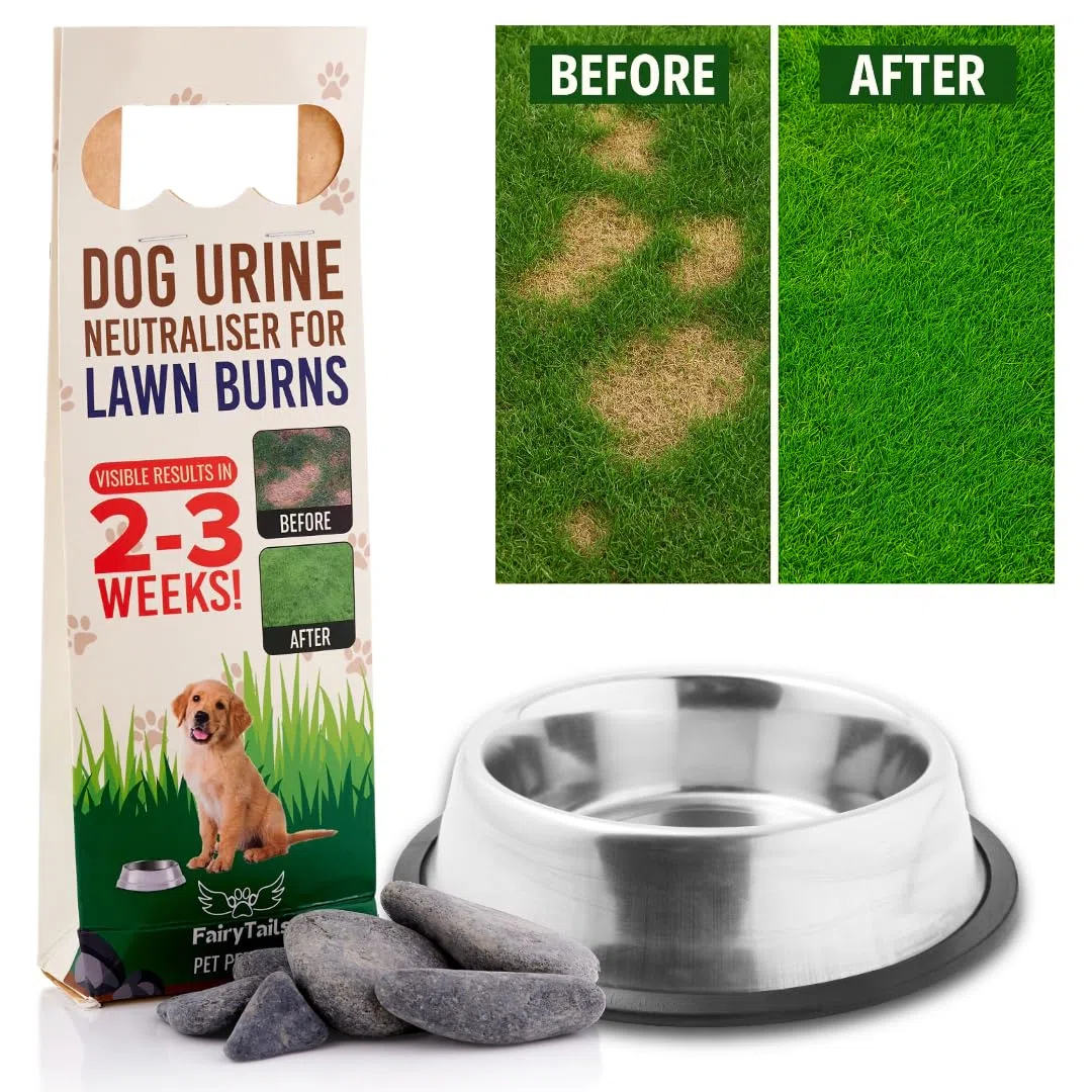 ' Pet Pebbles - Neutralizador natural de orina para perros para cuencos de agua, reparación de hierba, reparación de parches de quemadura de orina y prevención de manchas para mascotas