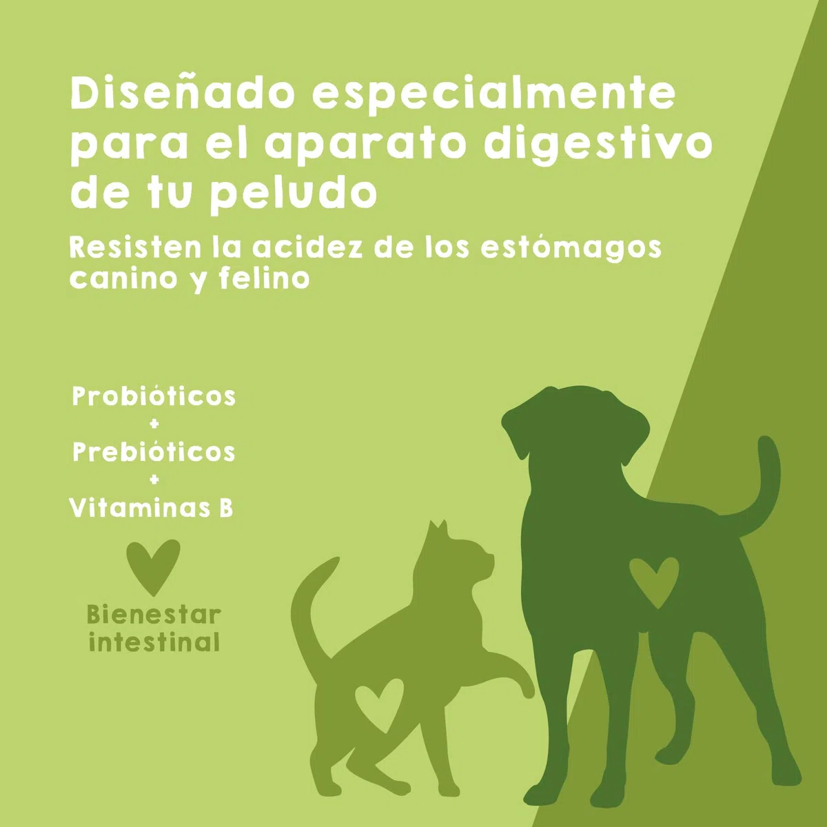 MAIKAI Probióticos para Perros y Gatos - Apoyo Digestivo + Inmunológico Natural - Antidiarreico en Polvo con Omega 3 + Boldo + Coenzima Q10 - Suplemento 150 g para Flora Intestinal y Defensas