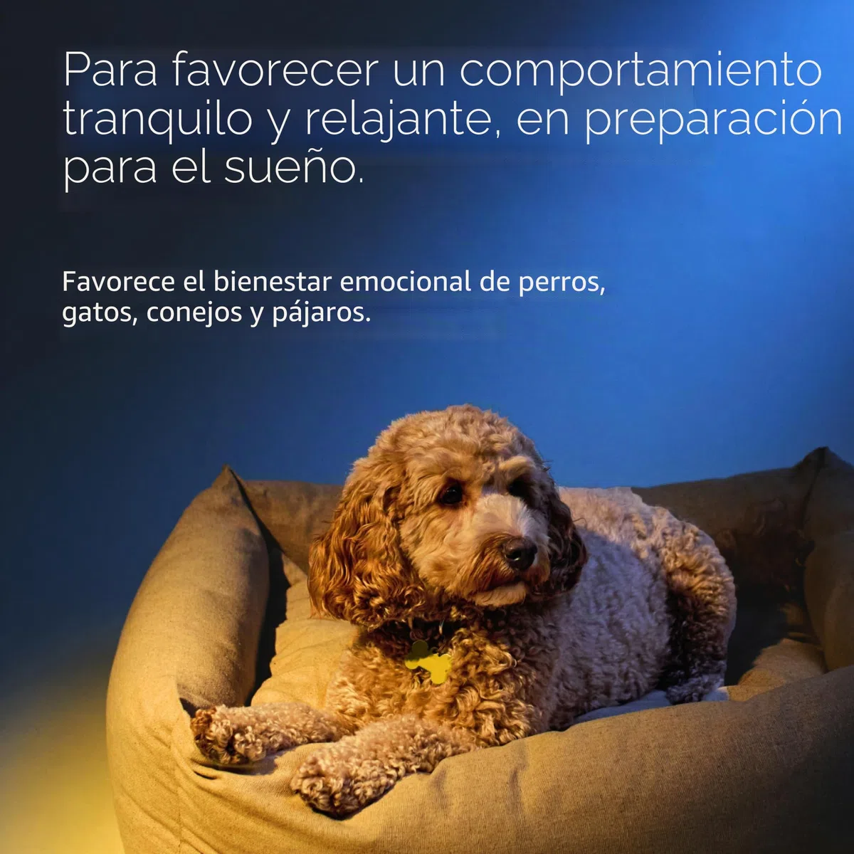 RESCUE NOIT PETS – Cuentagotas – Serenidad para animales – Ideal para viajar, aseo, ruido, vegano y sin alcohol – 20 ml