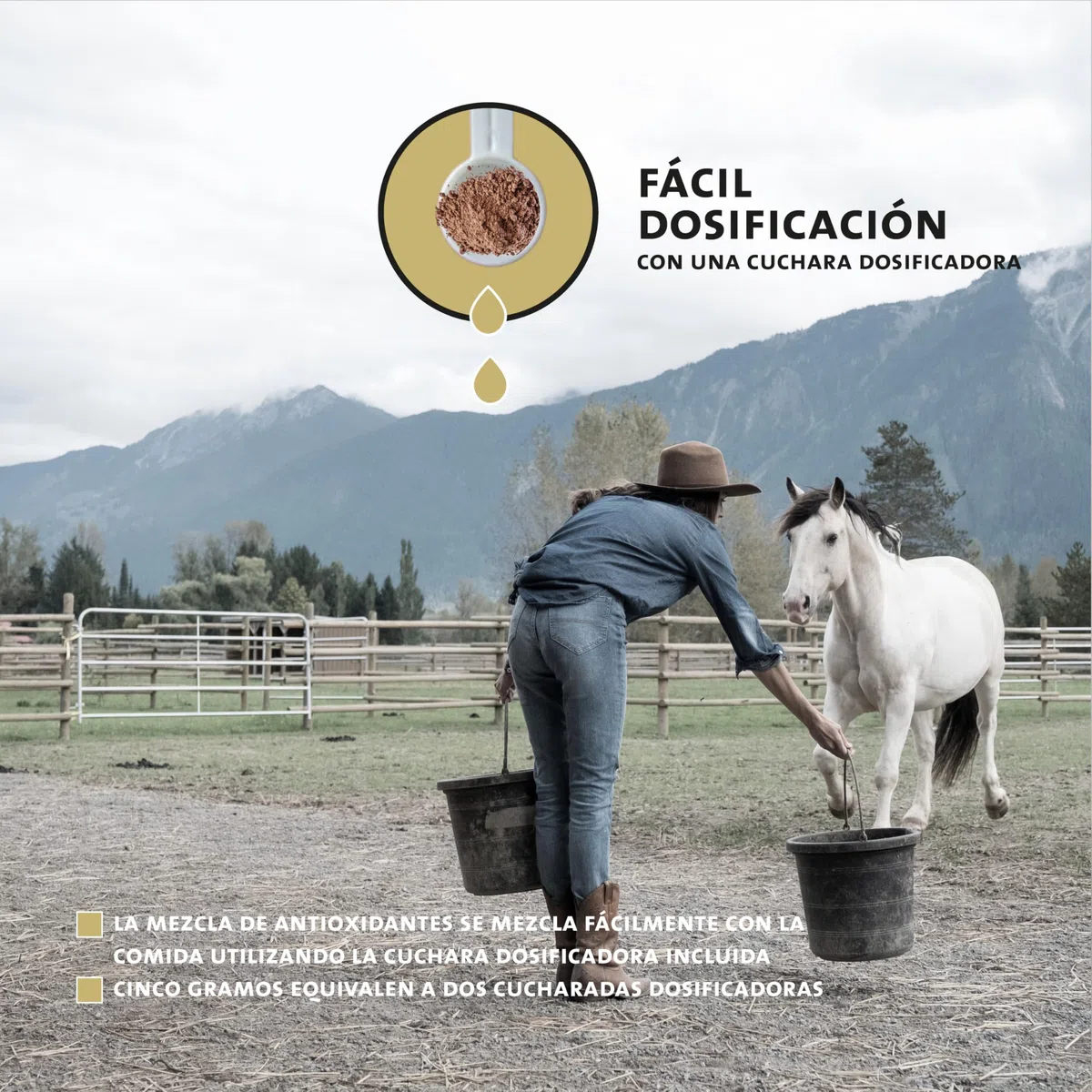 Peticare antioxidantes para Caballos | Apoyo al daño Celular y fortalecimiento inmunológico, Esfuerzo | con Ingredientes Naturales | para el estrés oxidativo | petHorse Health 4607