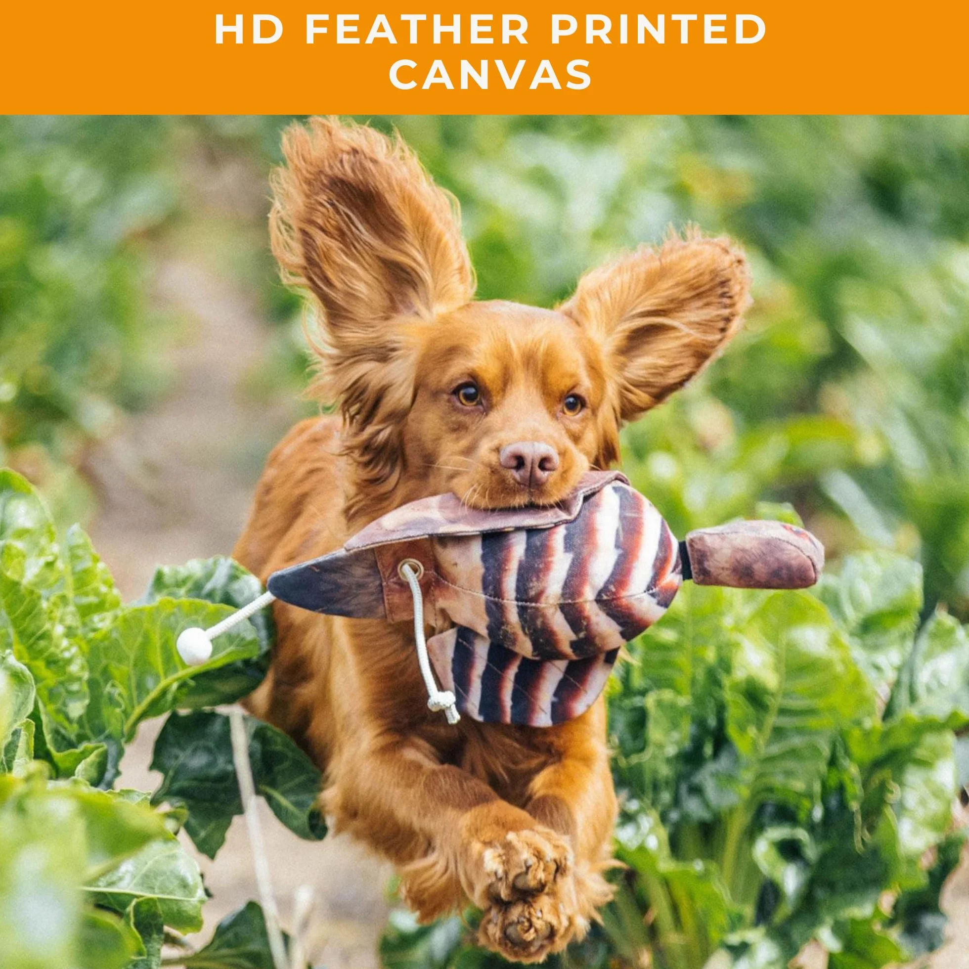 The Original Clone - Chupete Realista de Entrenamiento para Perros de Caza de Aves – Maniquí de Lona con impresión de Plumas HD para Entrenamiento de Perros y Cachorros – Equipo de Entrenamiento de