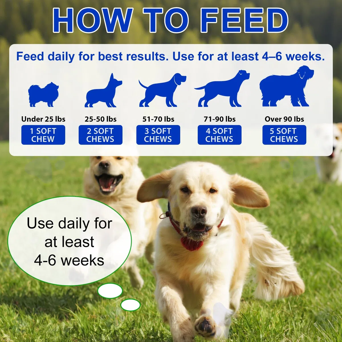 Probióticos para perros, 150 probióticos para la salud intestinal de los perros, pre y probióticos para el apoyo a la salud digestiva del perro, aumenta la salud intestinal y la inmunidad, sabor a