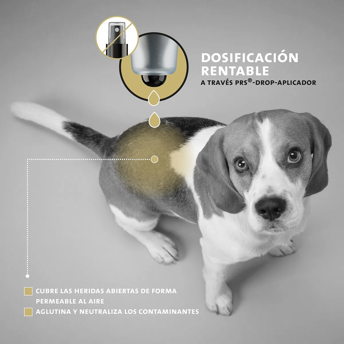 Peticare Polvo para Cuidado de Heridas en Caballos, Perros, Gatos - Detiene Picor de Piel, Promueve Curación, Tratamiento contra Mordedura, Zeolita, Ingredientes eficaces - petAnimal Health 2106
