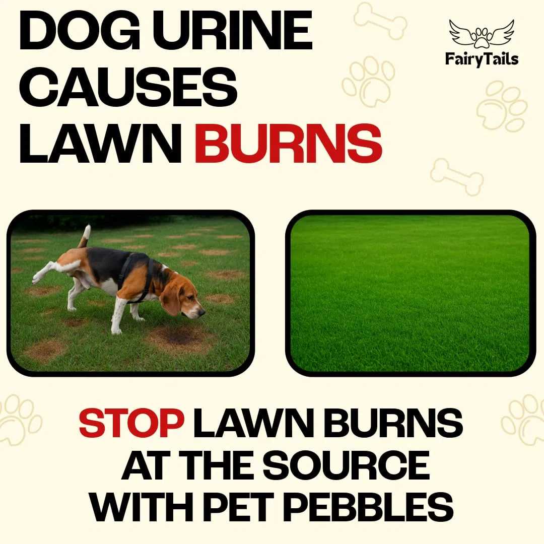 ' Pet Pebbles - Neutralizador natural de orina para perros para cuencos de agua, reparación de hierba, reparación de parches de quemadura de orina y prevención de manchas para mascotas