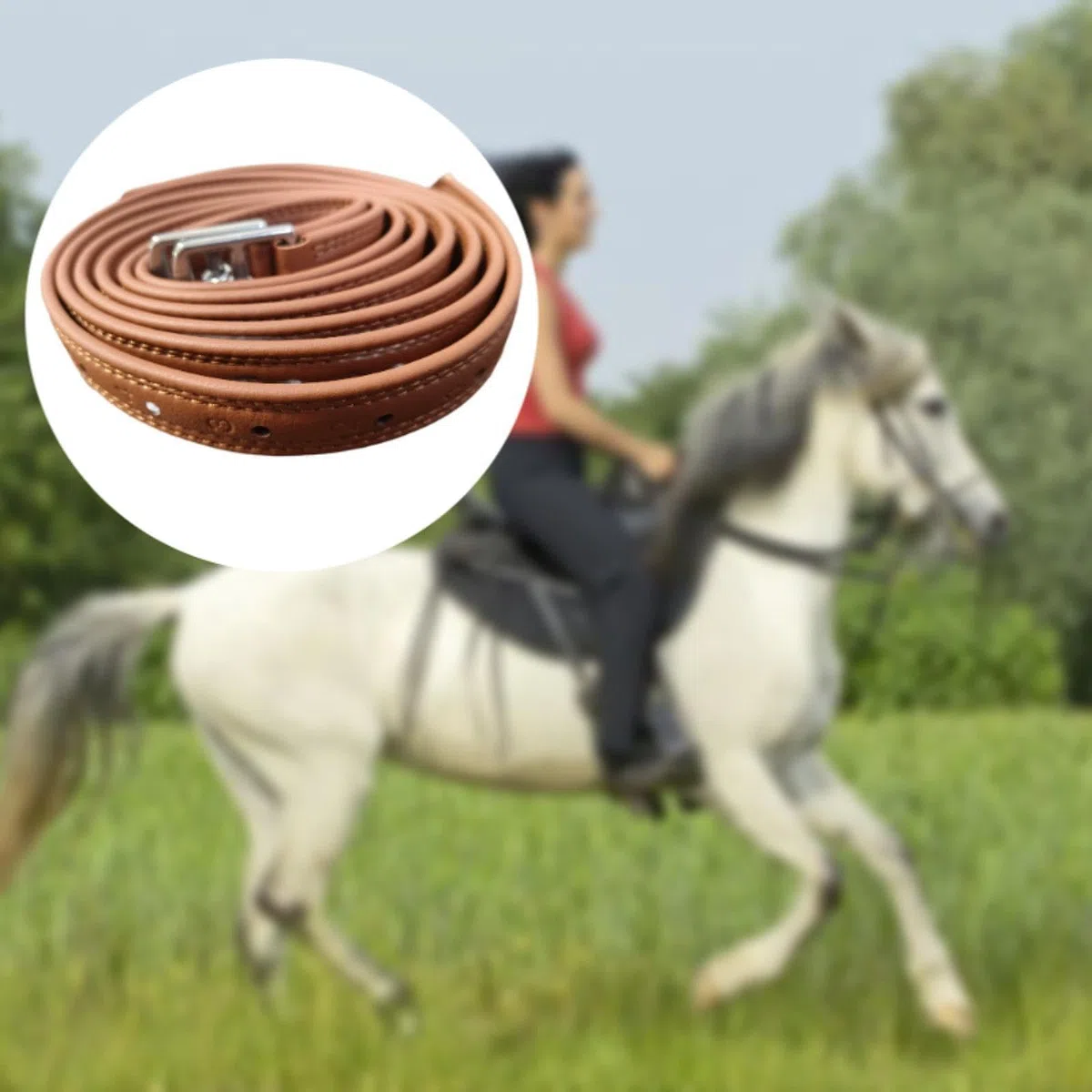 Juego de 2 Estribos con Hebillas de Acero Inoxidable, Longitud de 1.4 M, Equipo Ecuestre