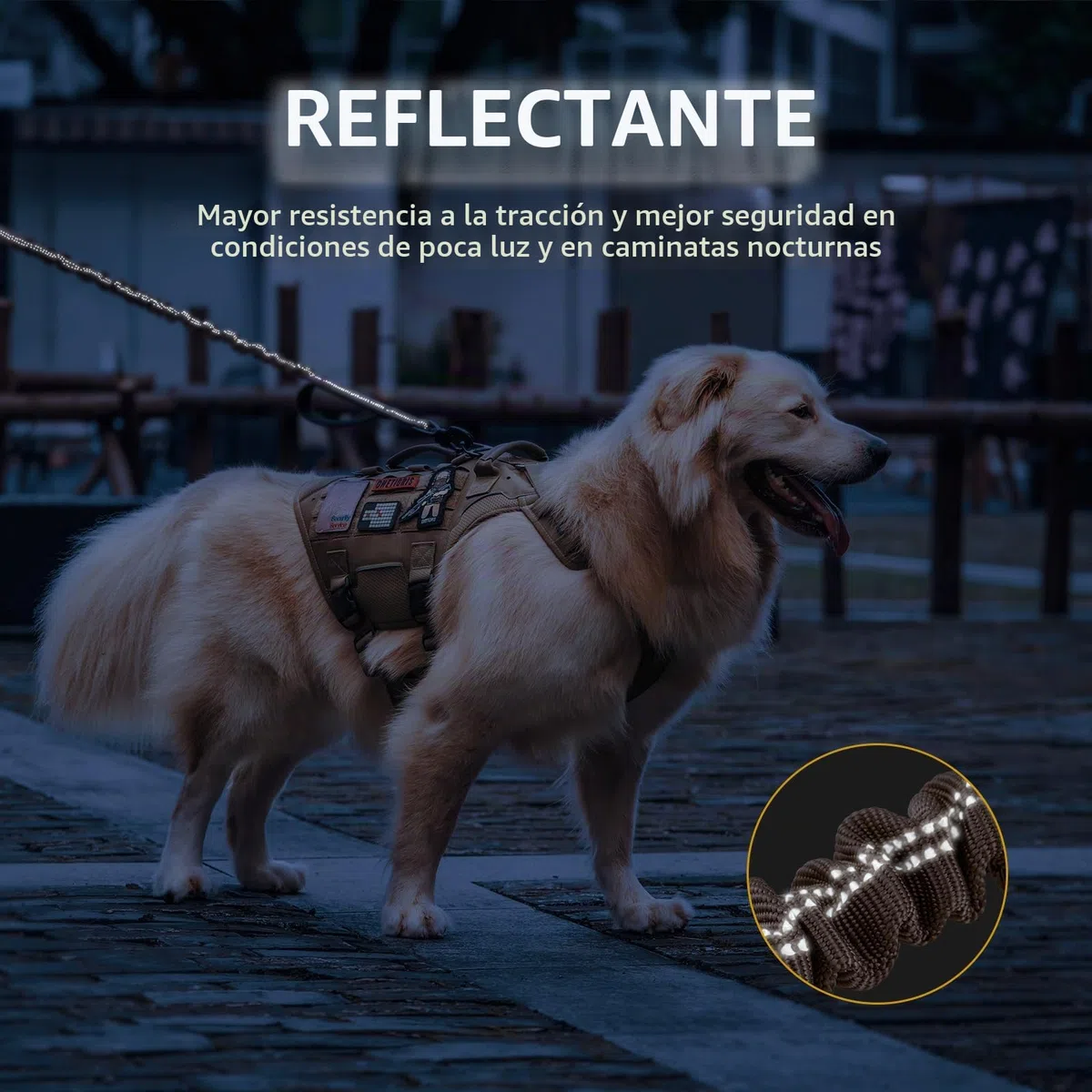 OneTigris Correa para Perros de 152 a 188 cm