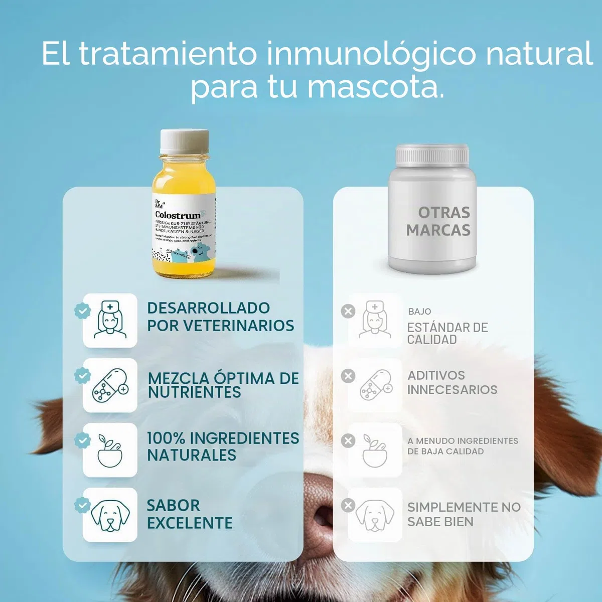 Dr. SAM Calostro para gatos y perros – Tratamiento para fortalecer el sistema inmunológico, natural y especialmente baja en lactosa, calostro de vaca para defensa inmune, fabricado en Alemania, 125 ml