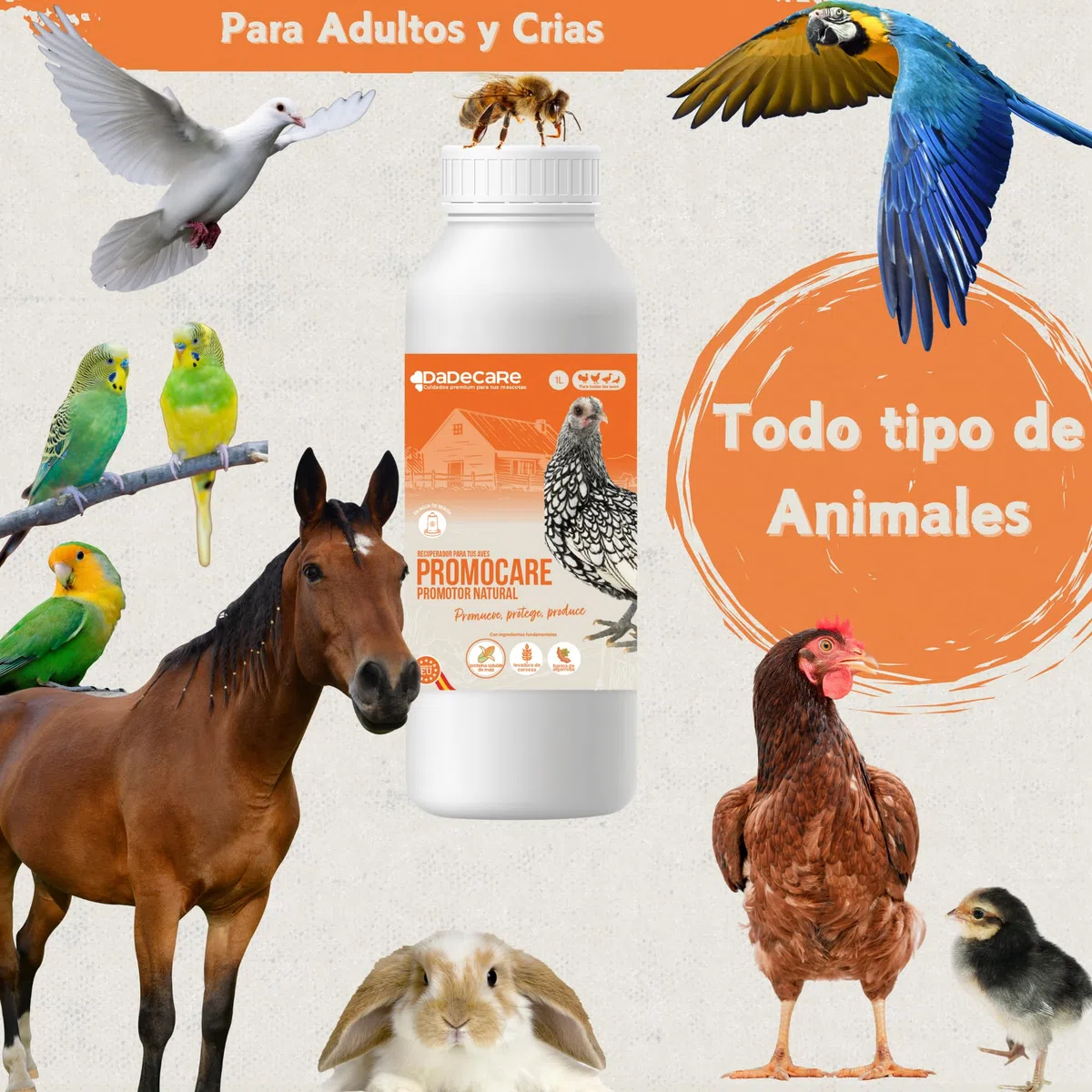 Promocare – Promotor Multivitamínico 1L para Aves de Corral y Ornamentales – Multivitamínico Aviar con Aminoácidos y Antioxidantes – Vitaminas para Aves en Solución Líquida