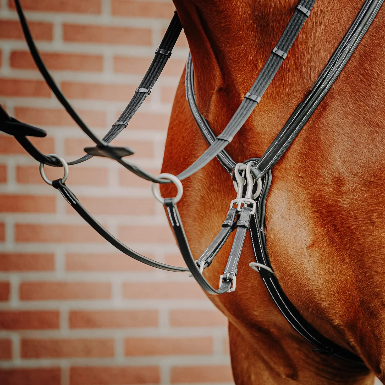 SUNRIDE Pettorale Cavallo in Pelle con martingala (Windsor) – attacco a 3-punti – forchetta martingala rimovibile – inserti elastici – regolabile (Full, Negro)