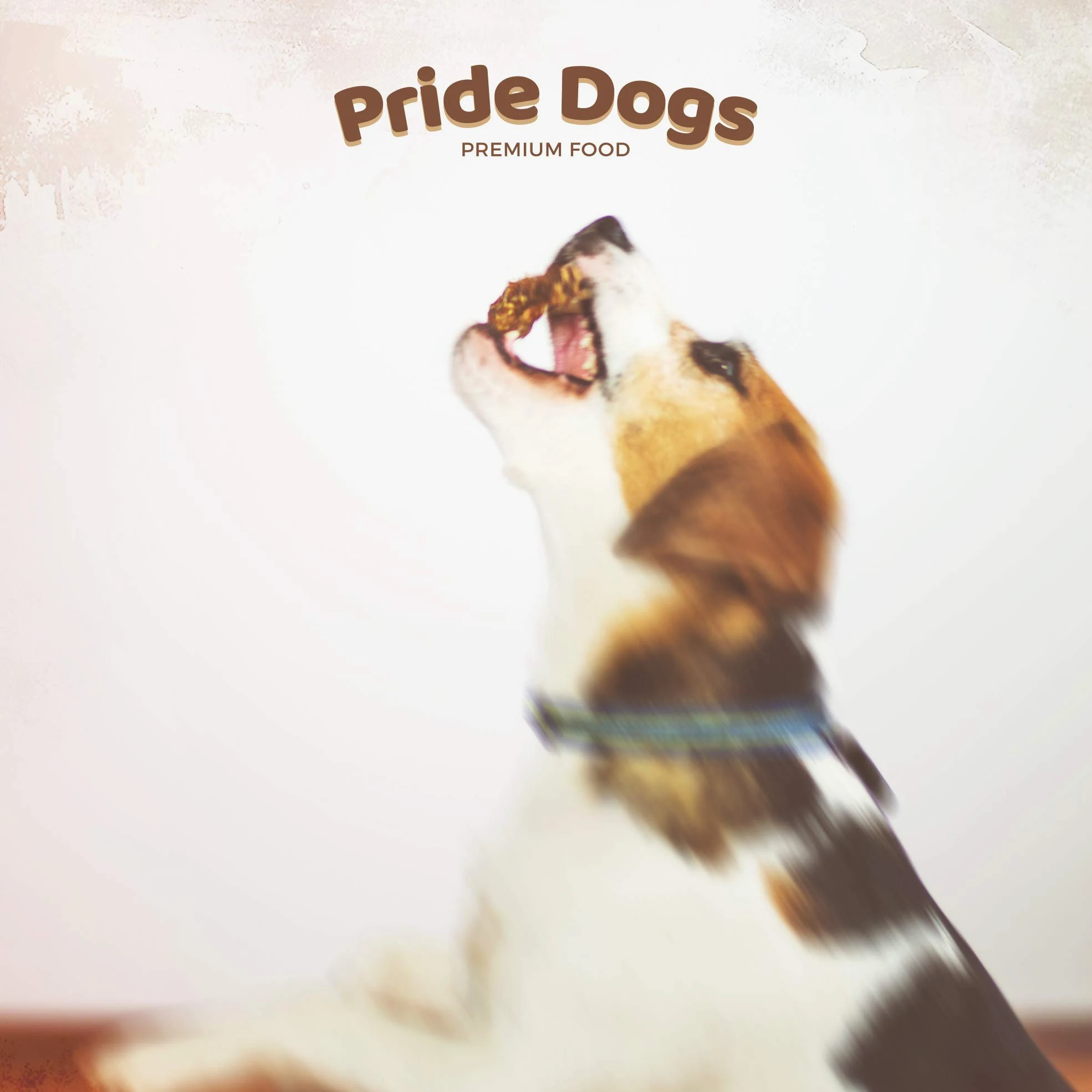 PrideDogs Piel de Cabeza de vacuno 20 cm 500 g de la Premium Kausnack para su perro, 100% vacuno de fabricación alemana, en bolsa inodora