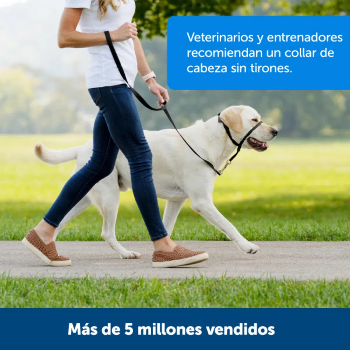 PetSafe Easy Walk – Bozal para Perros, Collar de Cabeza Antitirones para Perros, Ajustable, Acolchado, con Correa De Paseo Incluida, Negro, M
