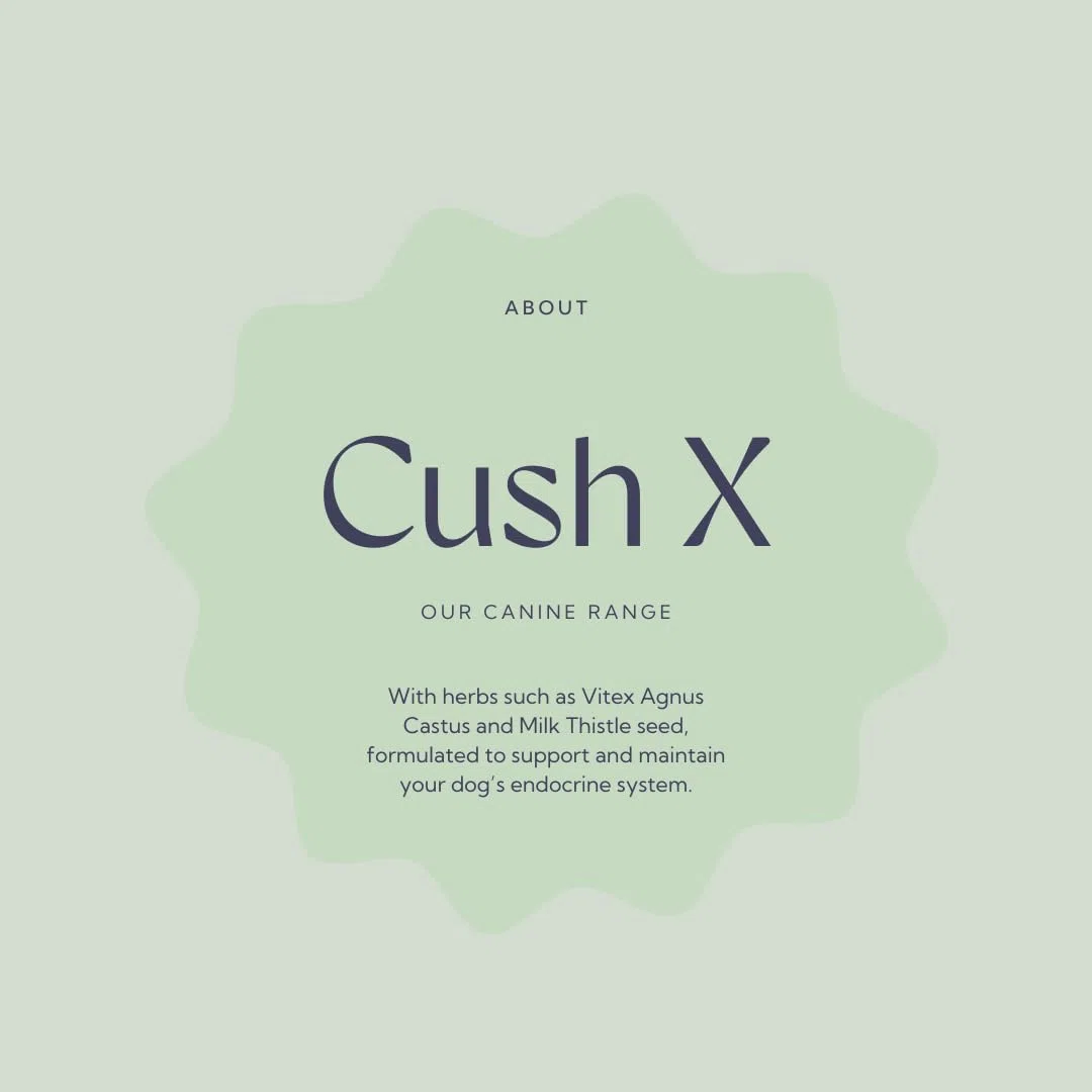 Hilton Herbs Cush X for Dogs - 60 g