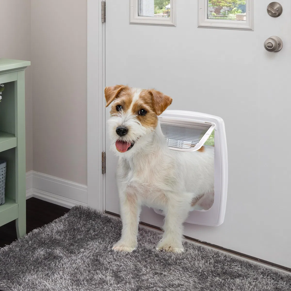 Ferplast Puerta para Perros Medianos, Gatera, Entrada y Salida controlables 4 vías, Protección contra Corrientes de Aire, Swing 11 Tamaño Mediano, Puerta Perro, Blanco