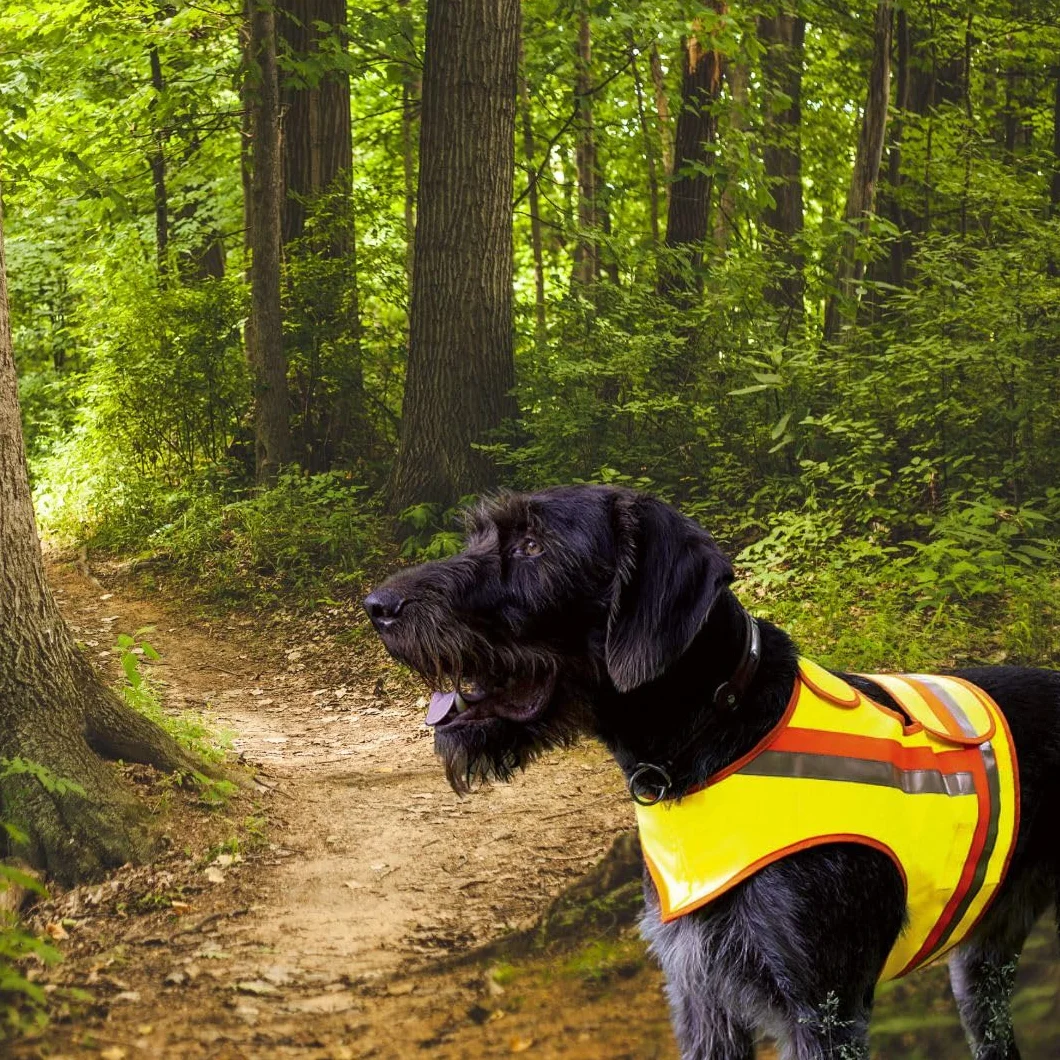 Chaleco reflectante de seguridad para perros de caza a la deriva y paseos en la oscuridad, color amarillo y naranja con rayas reflectantes (XL)