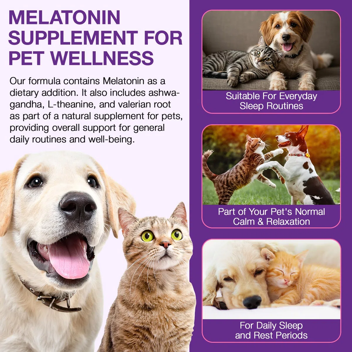 Melatonina para Perros y Gatos 120 ml, Calmante Natural para Mascotas, Ayuda para Dormir y Relajarse, Reduce Estrés, Nerviosismo y Ansiedad,Suplemento Líquido de Absorción Rápida para Bienestar Animal