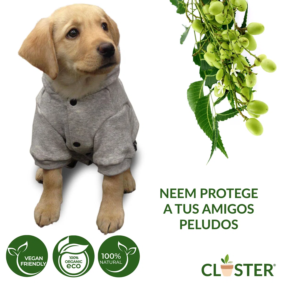 Neem Pet Protection Spray Antiparasitario Insecticida contra Pulgas Y Garrapatas Ácaros Piojos Insectos