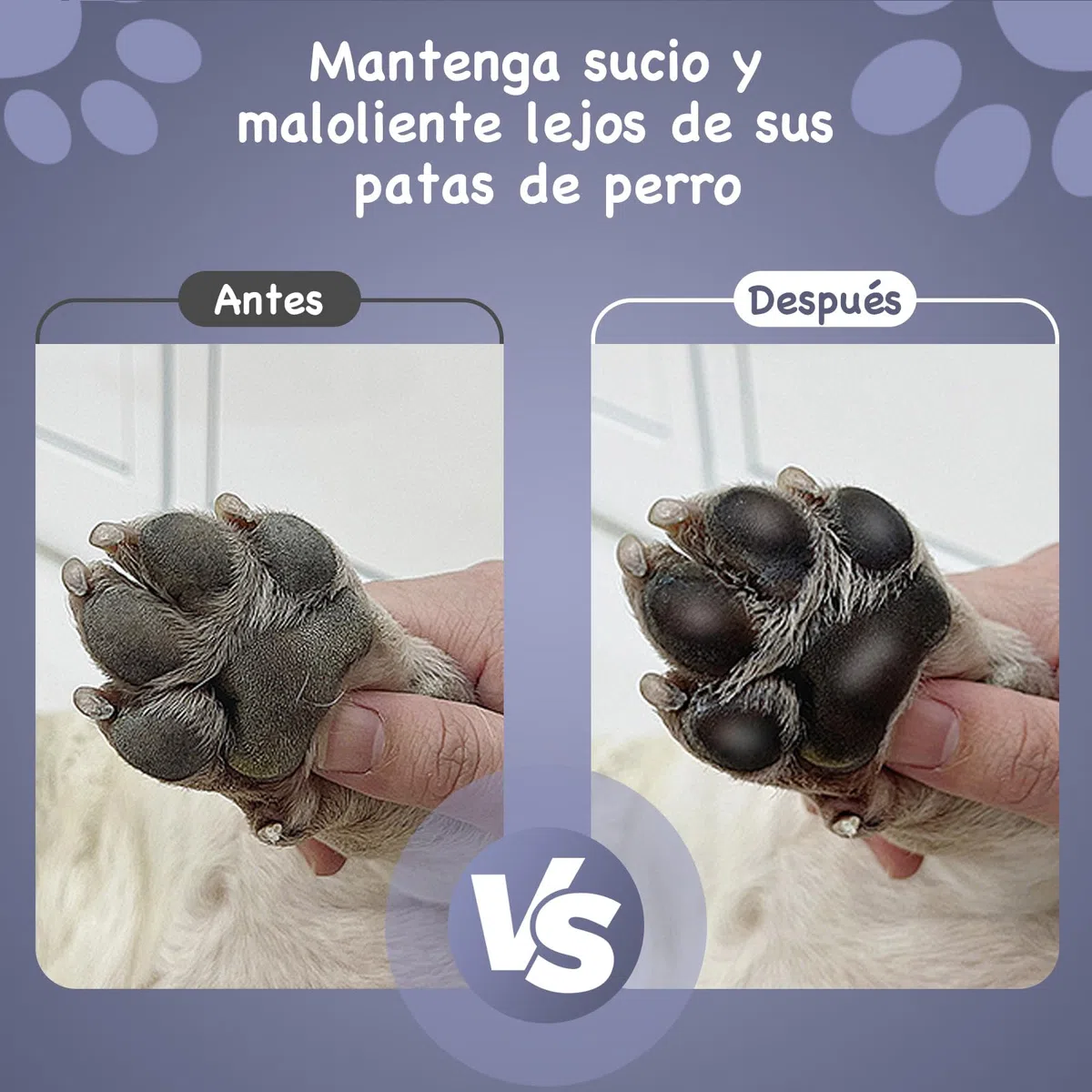 Limpiador Patas Perro de Raza Mediana Pequeña con Mango, Limpiador de Patas de Perros para Limpiar Patas Embarradas, con Cepillo para Perros y Cuatro Toallas Absorbentes (Gris)