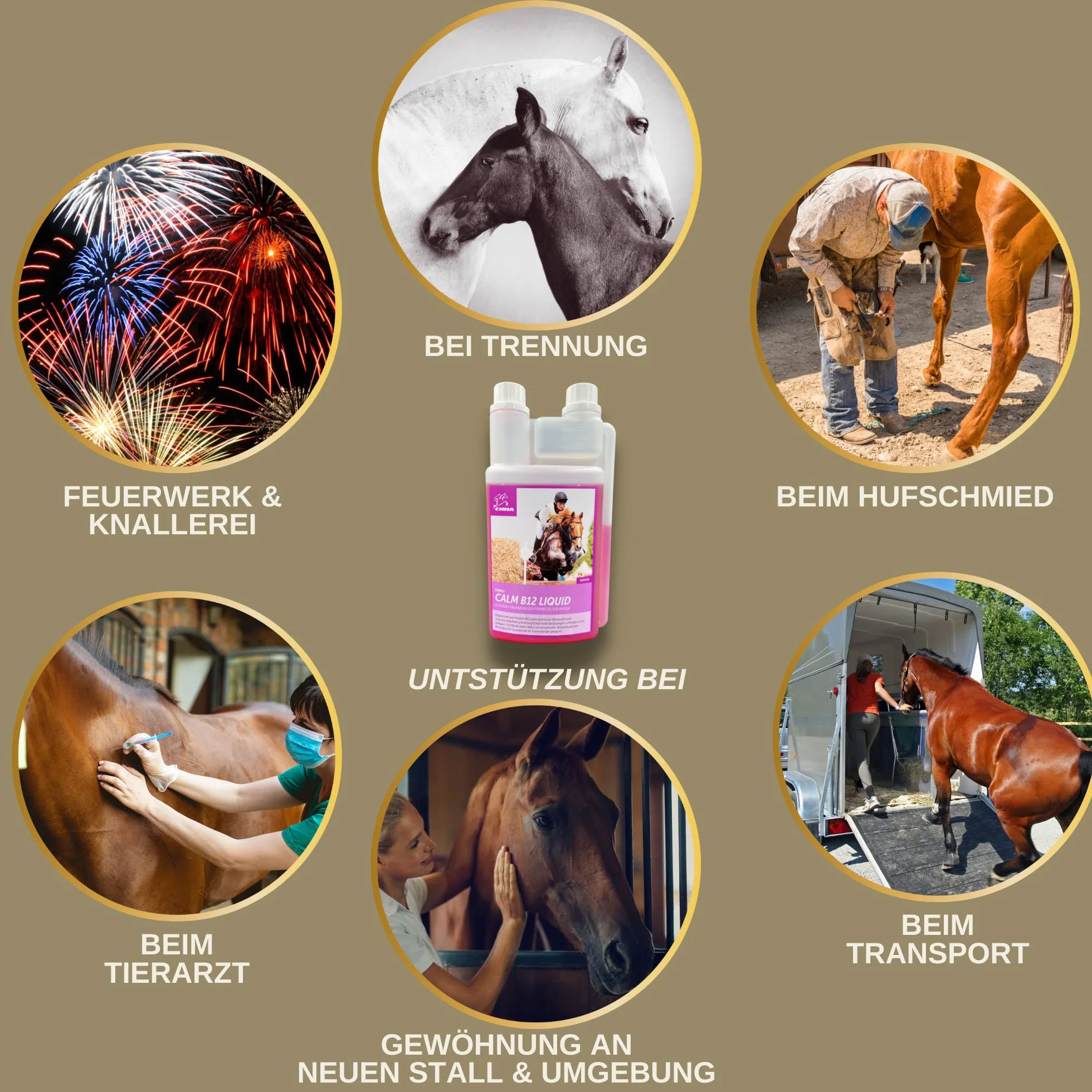 Magnesio Caballo Vitamina B12 I Calm I Antiestrés para calmar los Nervios I L Triptófano líquido I Vit B 12 para la ansiedad Relajación I para el Transporte I apoya la Calma Caballo nervioso Pony 1L