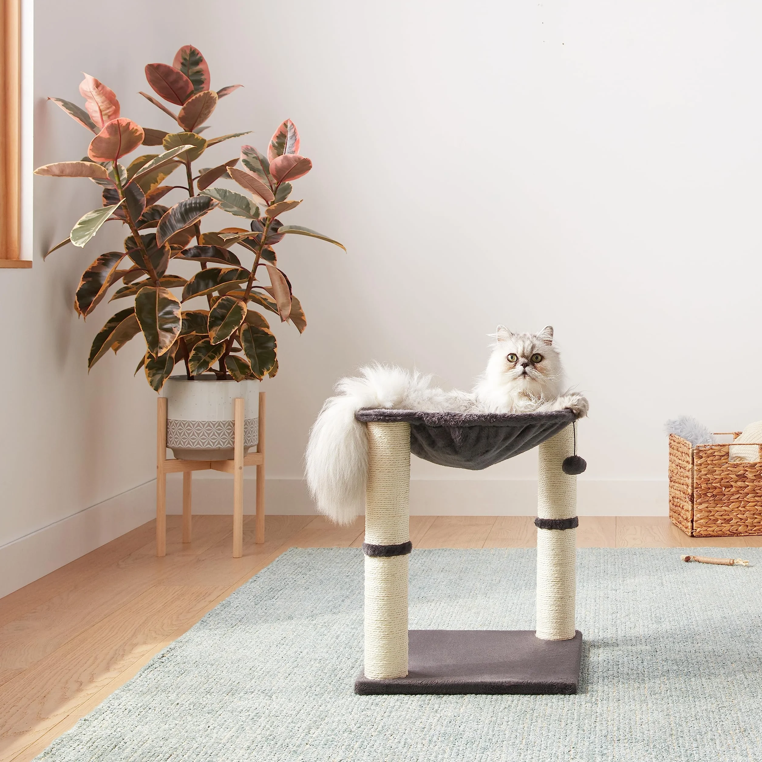 Amazon Basics Torre en árbol con cerramiento, hamaca, cama y poste rascador para gatos, 40,6x50,8x40,6 cm, gris