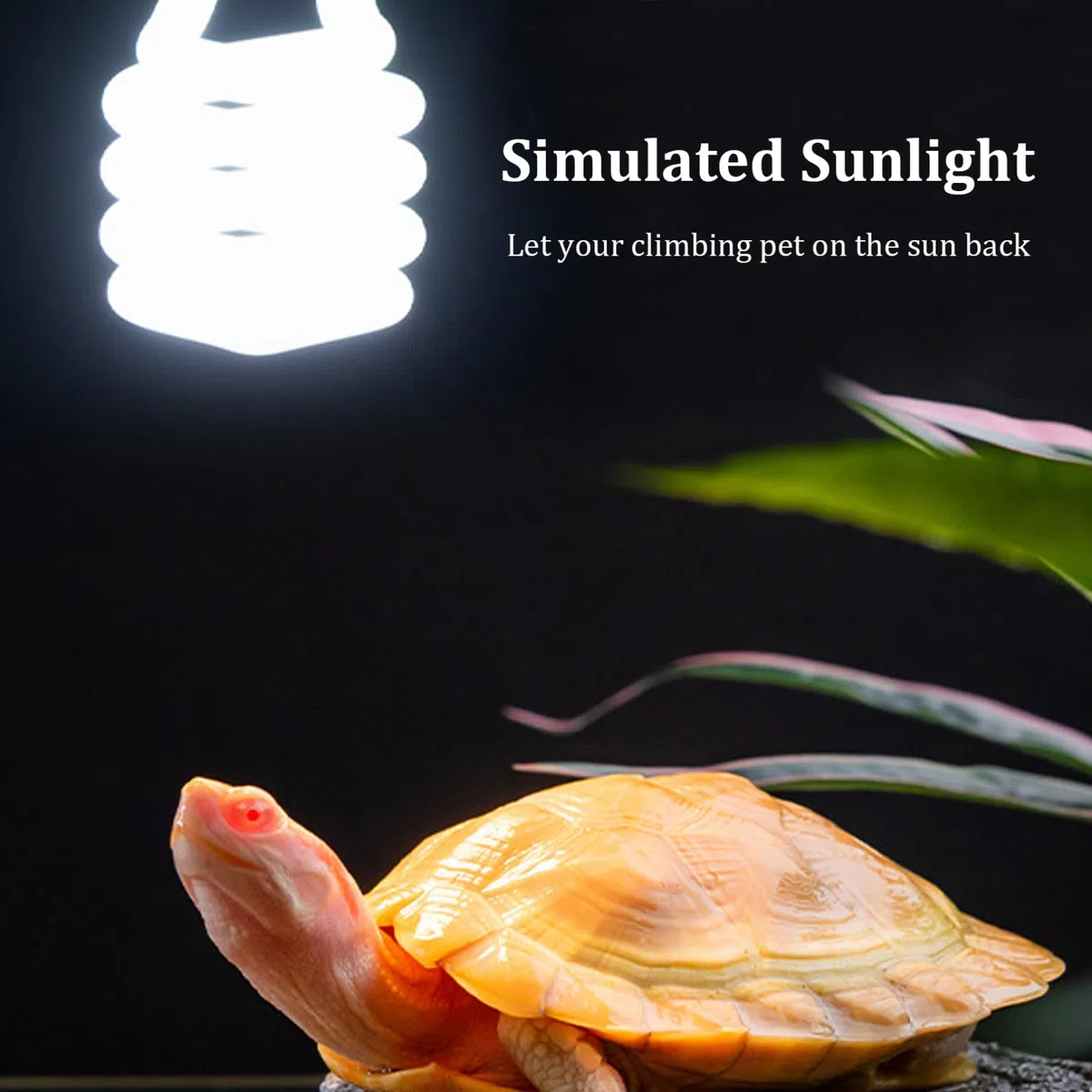 Reptile UVB Bulb 5.0 UVB E27 Interfaz Reptile SUBROPICAL LIGHTA Blanca Azula LIGHTIVE Reptil