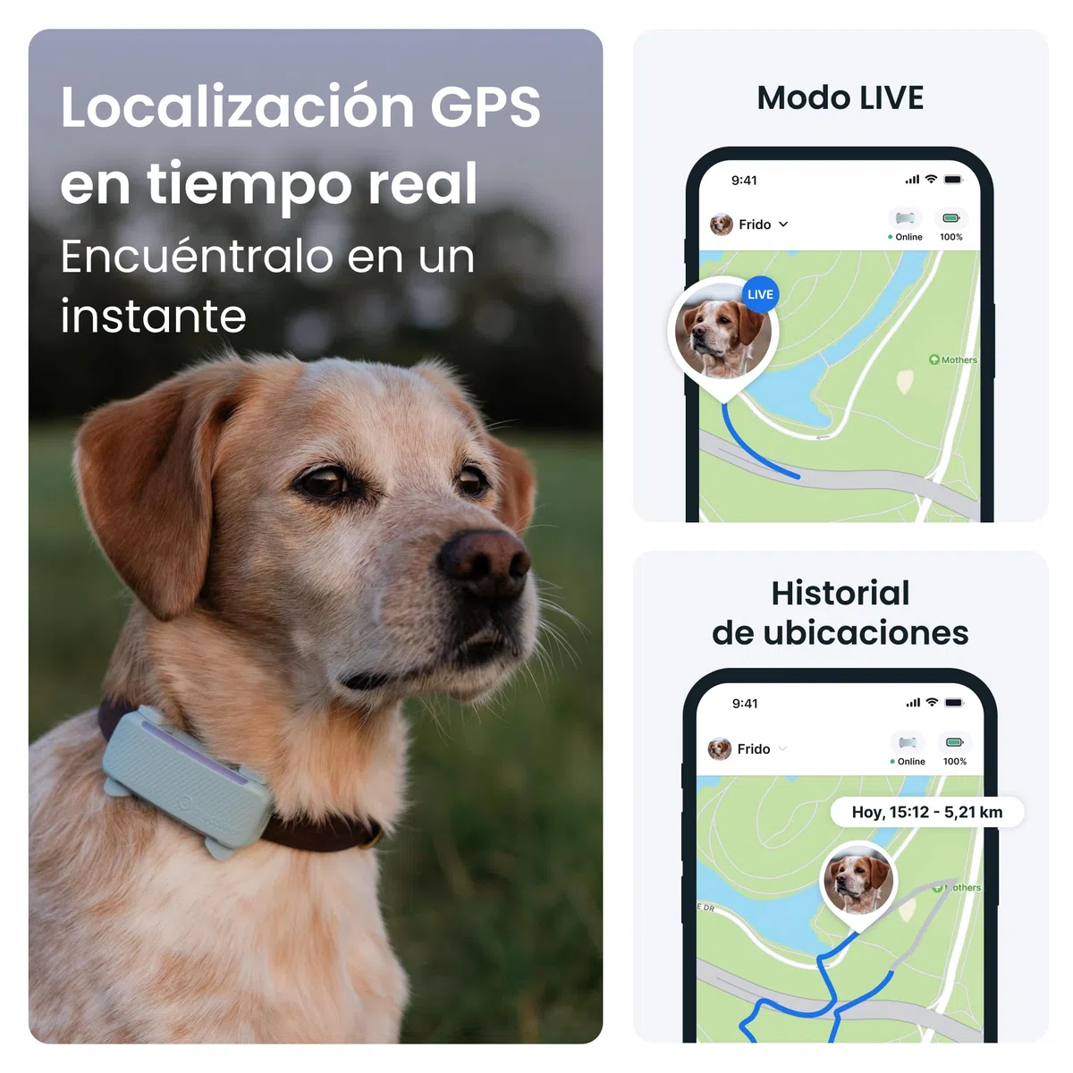 Tractive - GPS perros | 2025 Edición | N.º 1 del mercado | Localización en tiempo real | Alertas antifuga | Monitor de actividad | Avisos de salud | Seguimiento de ladridos (Menta)