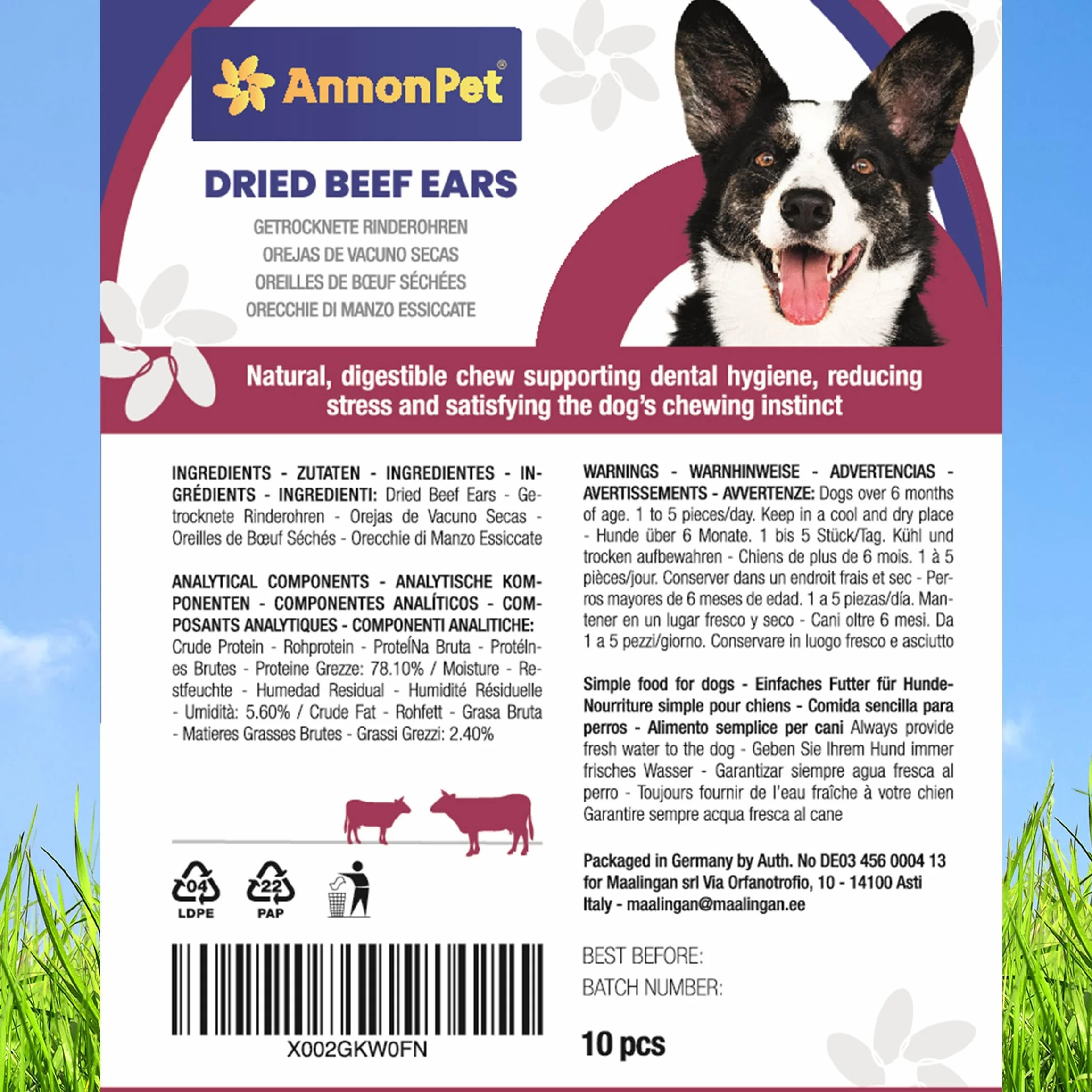 10 orejas secas para perros – Artículos masticables naturales y fáciles de digerir – Rico en proteínas, sin aditivos – Ideal para cuidado dental y alivio del estrés