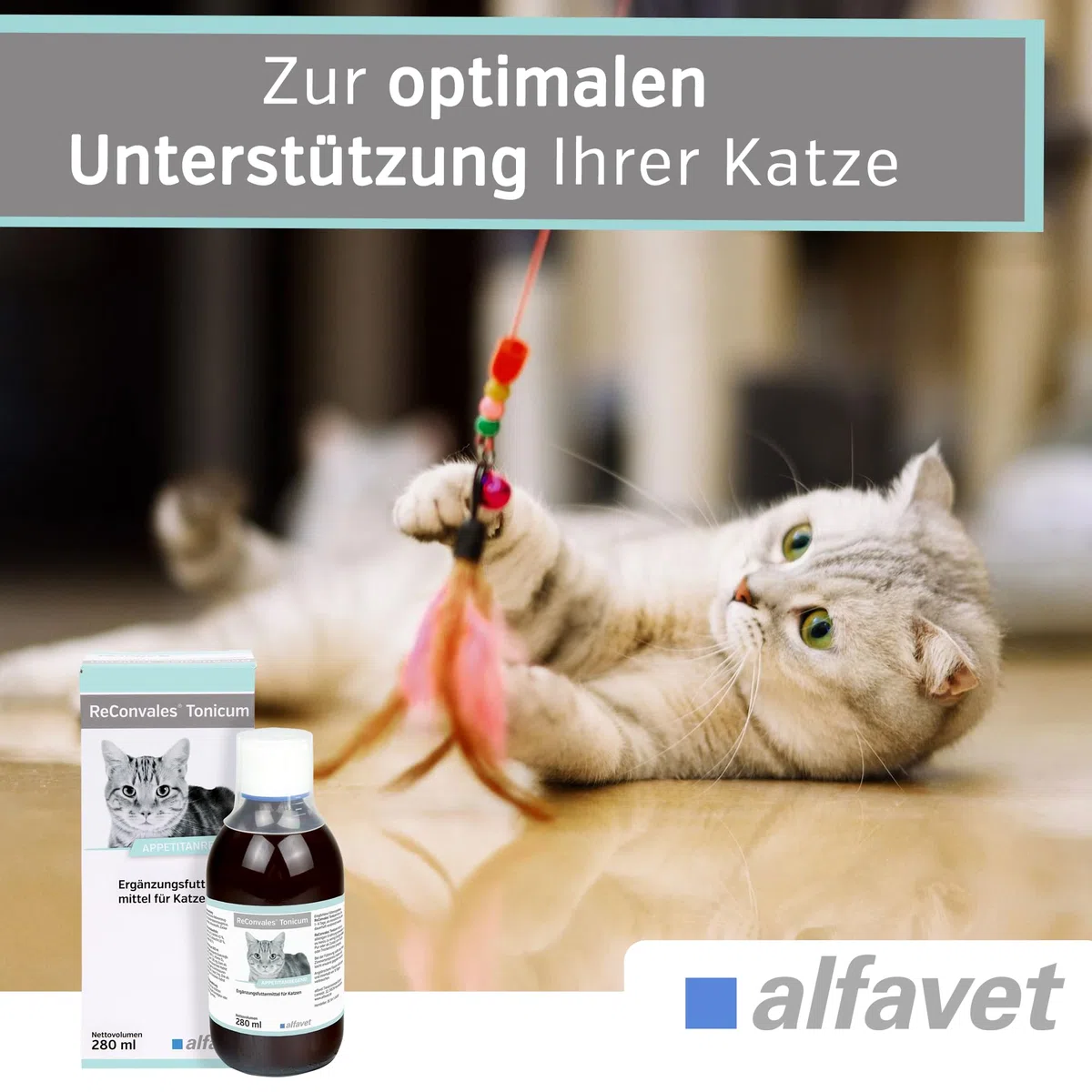 Alfavet ReConvales Tonicum Gato - 280 ml - pienso complementario Estimulante del apetito - para Gatos convalecientes y con bajo Peso