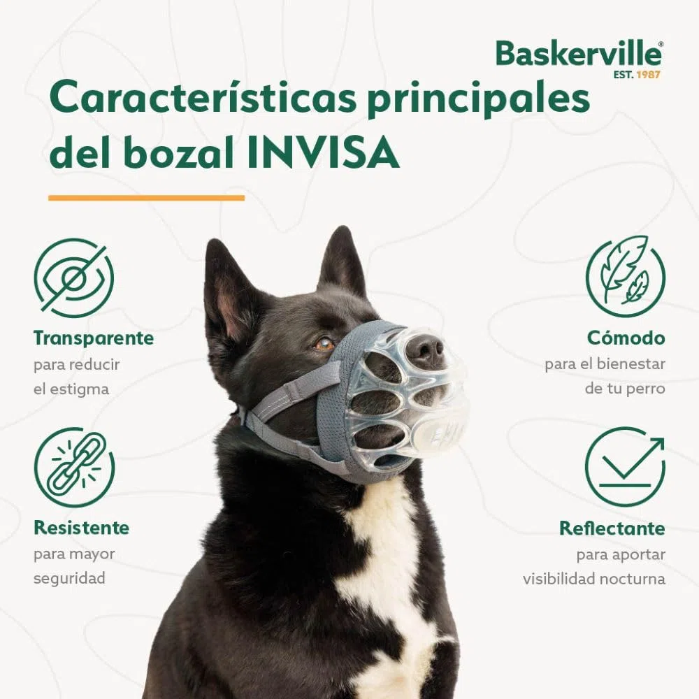BOZAL BASKERVILLE INVISA - Diseño respetuoso patentado y seguro. Permite jadear y beber, ajustable y acolchado, adiestramiento para perros pequeños, impide morder y hurgar comida (Talla 1)