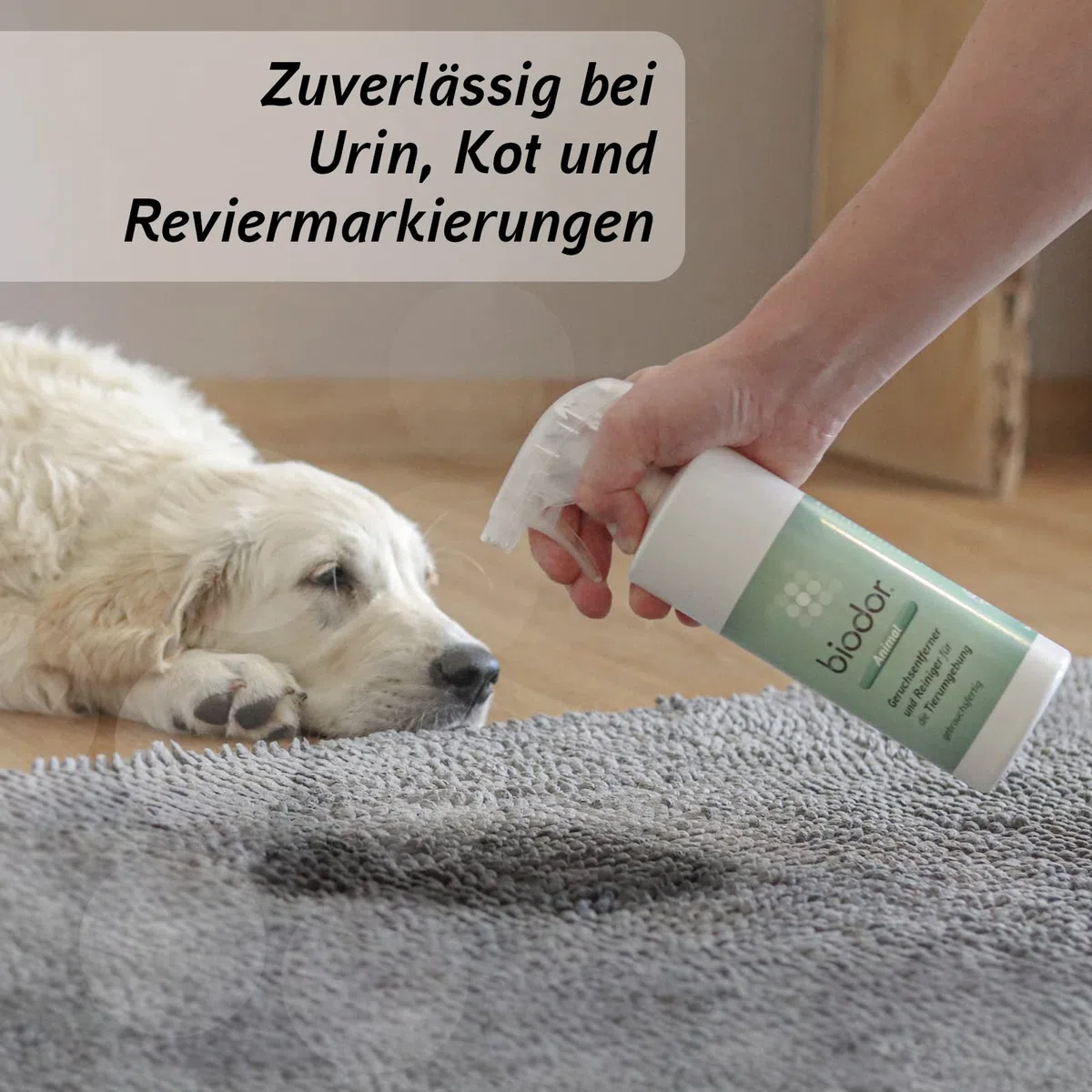 Biodor Pet Animal Hygiene Spray 750 ml Eliminador de olores para perros