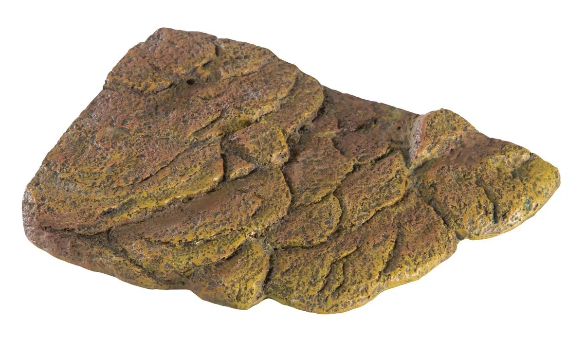 Exo Terra Isla para Tortuga Magnética Pequeña