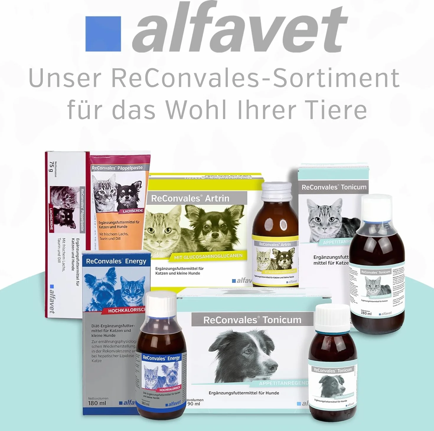 Alfavet ReConvales Tonicum Gato - 280 ml - pienso complementario Estimulante del apetito - para Gatos convalecientes y con bajo Peso