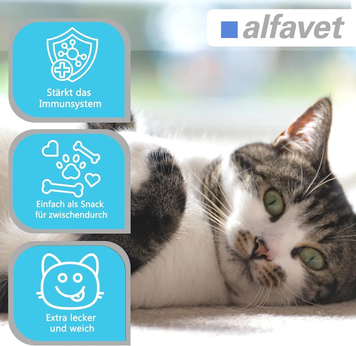 Alfavet FeliGum L-Lisina en caso de Coryza, complemento alimenticio para gatos, bolsa de 120 g, aproximadamente 60 pastillas para masticar