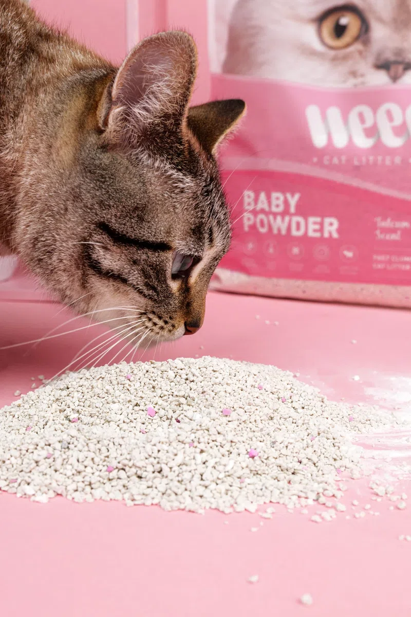 Weego Baby Powder (5L)