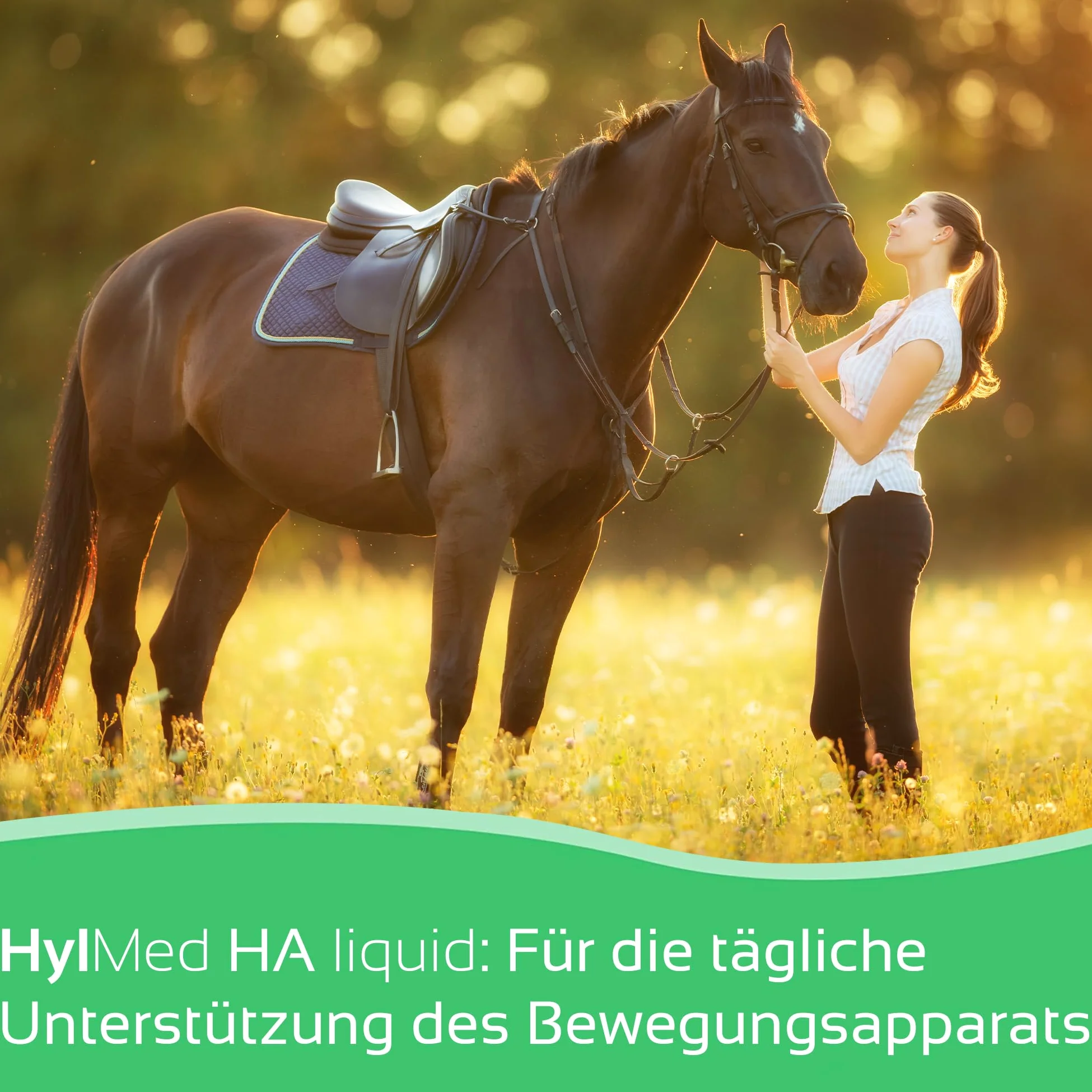 HA Liquid Horse - 2 x 500 ml de ácido hialurónico, colágeno y otros nutrientes para apoyar el sistema musculoesquelético del caballo