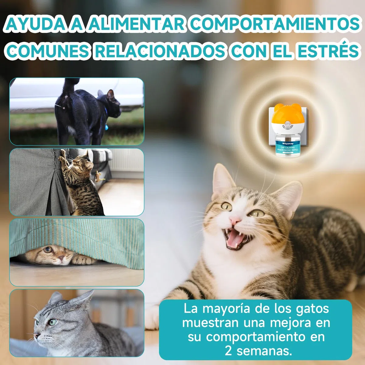 Woyamay Difusor de Feromonas para Gatos y Recambios, Calmante Gatos y Tranquilizantepara Gatos con 2 Difusor + 4 Recambios de 48 ml, Relajante para Gatos hasta 120 Dias
