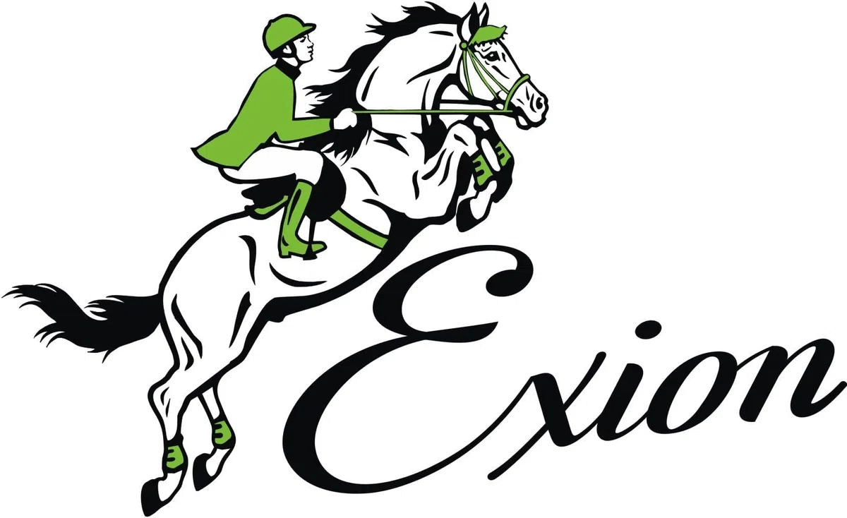 Convertidor de Bocado Exion Pelham Roundings para Cabezada de Caballo Inglés | Correa de Cuero Premium de Curtido Vegetal | Adaptador de Bocado de Una a Dos Riendas con Herrajes de Acero Inoxidable