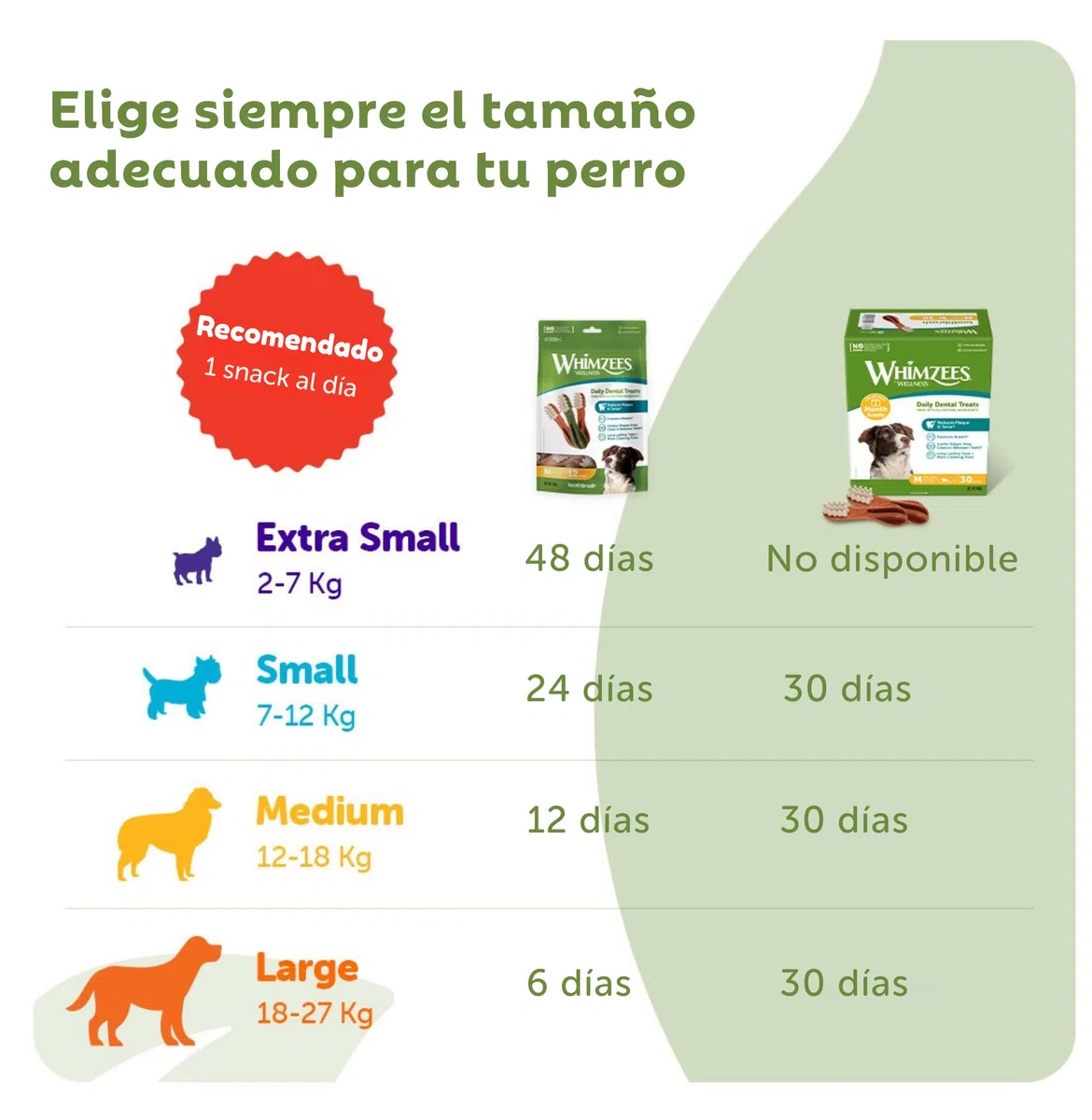 WHIMZEES Cepillos de Dientes L, Caja Mensual, 30 Piezas – Talla L, Golosinas para Perros Grandes, Naturales y Sin Cereales, Vegetarianas, Sin Azúcares Añadidos